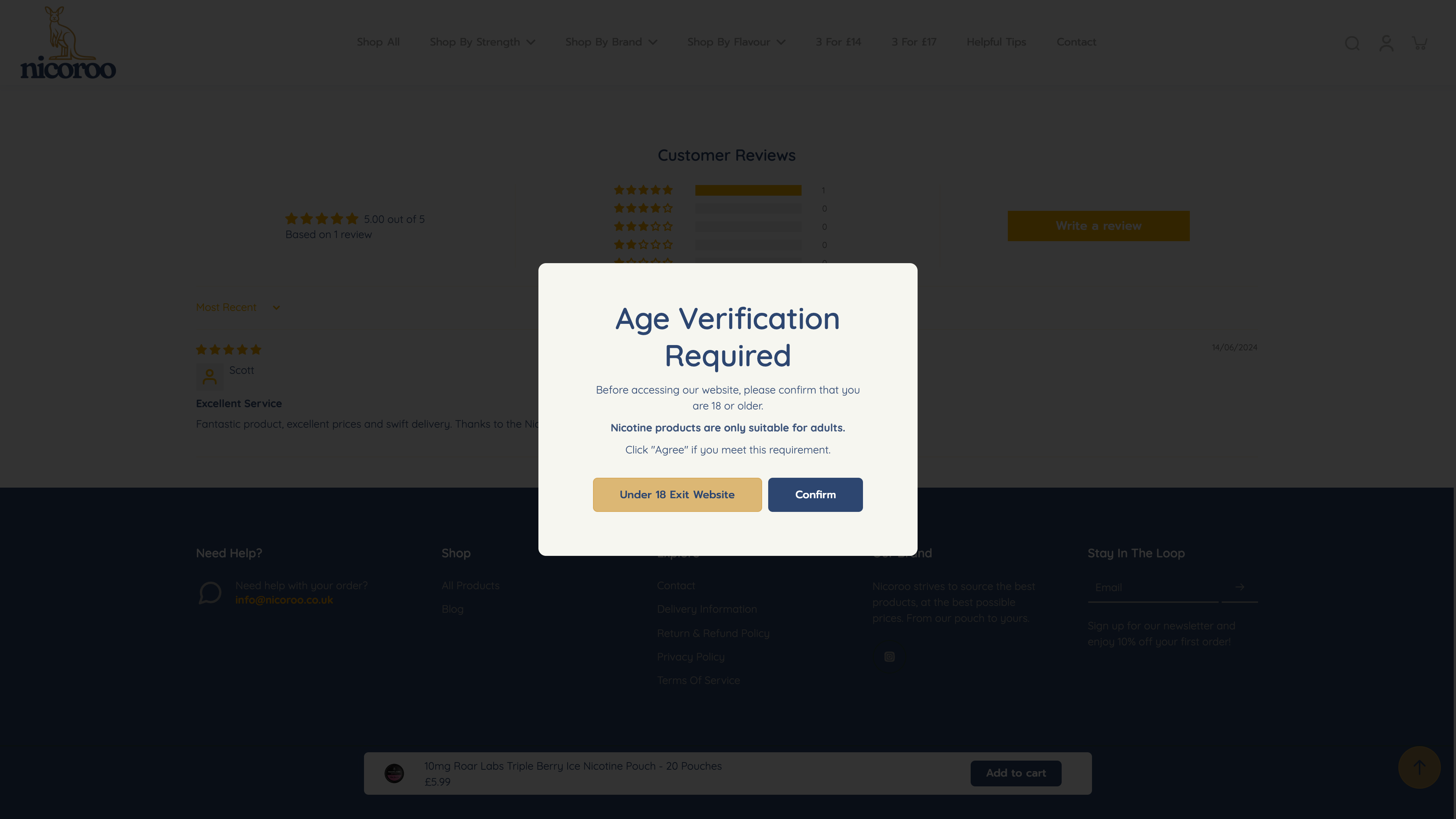 Nicoroo Shopify Store Set Up screenshot 5