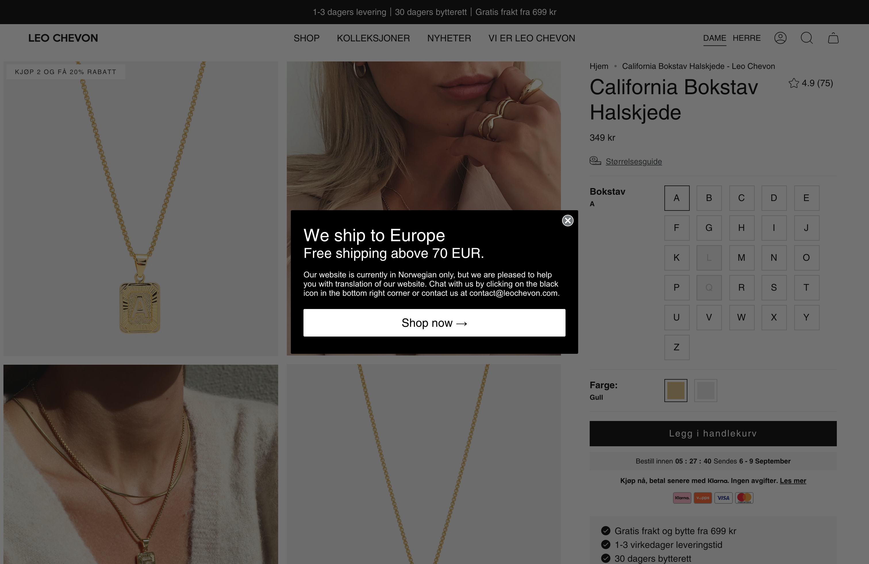 Bespoke Website Design Services for Leo Chevon