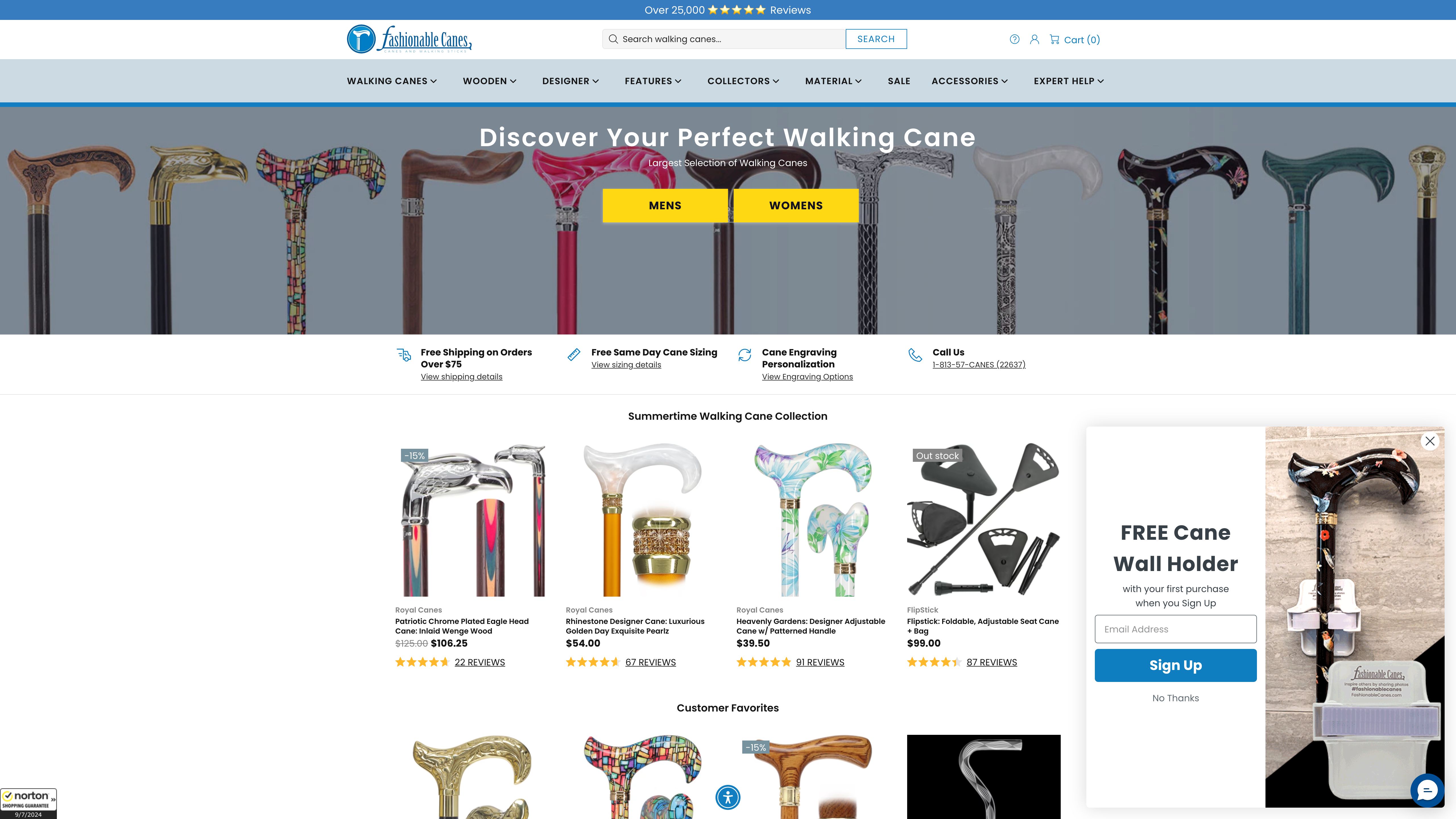 FashionableCanes: SEO Triumph & 350% ROI Boost screenshot 5