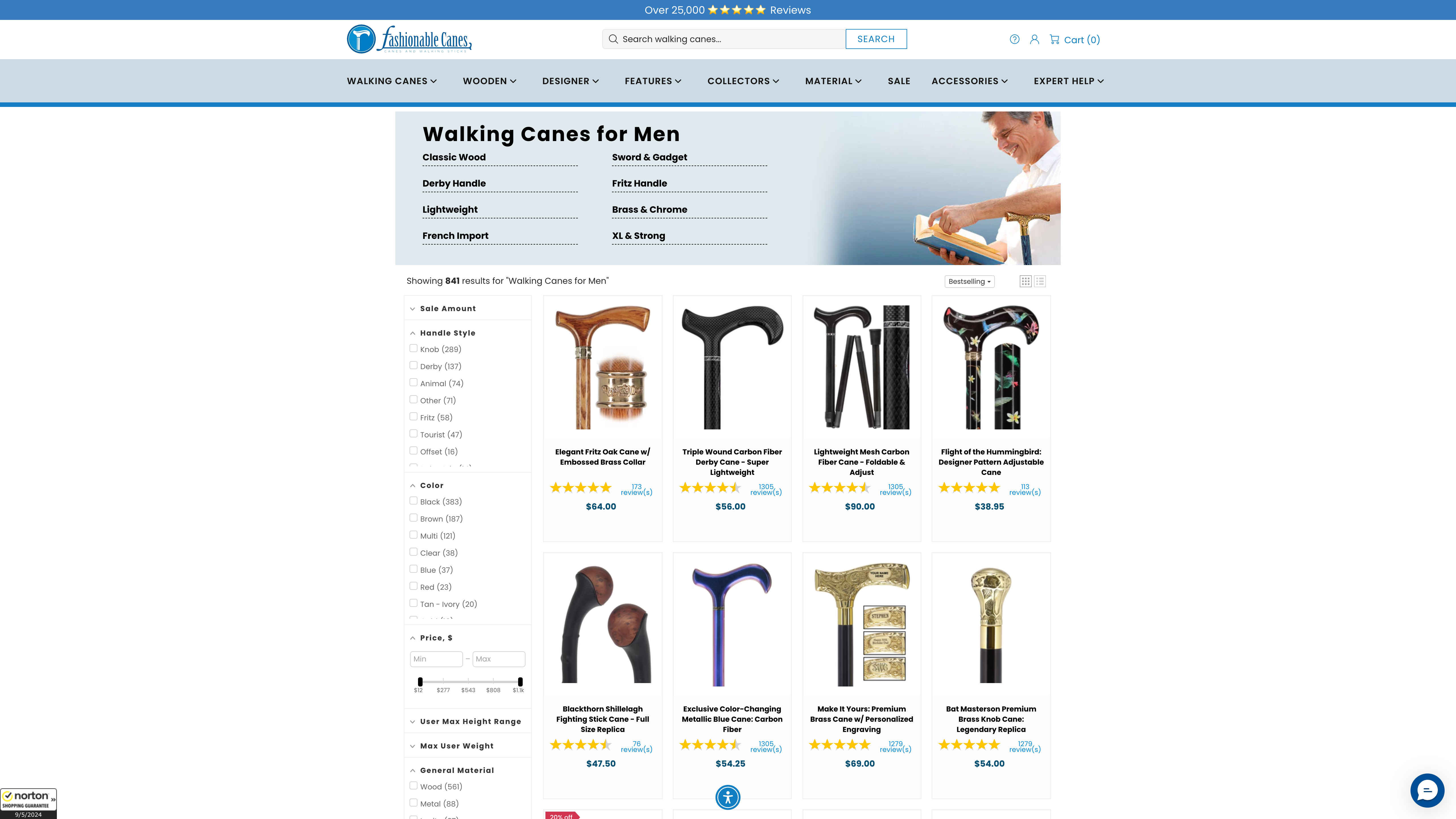 FashionableCanes: SEO Triumph & 350% ROI Boost screenshot 4