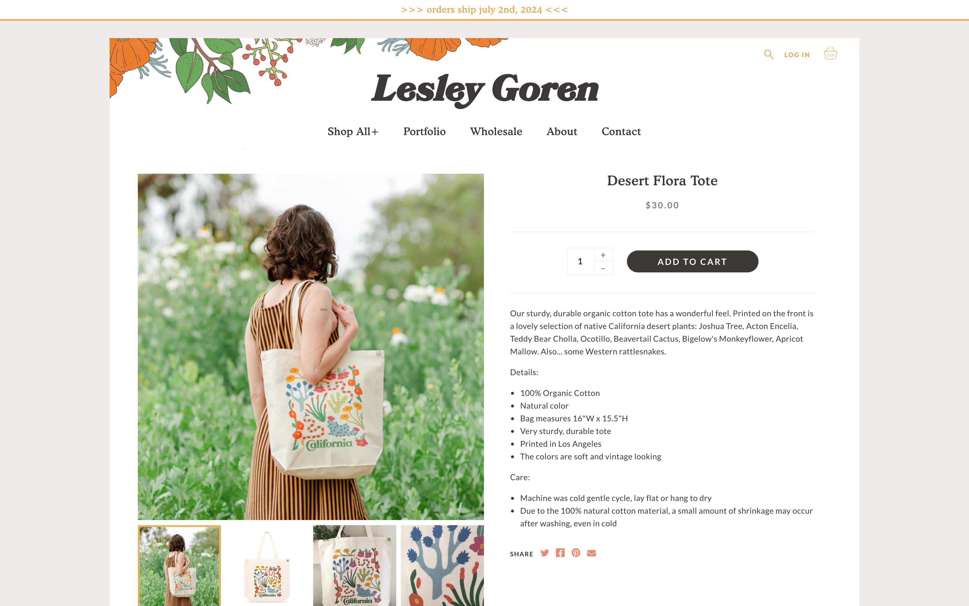 Lesley Goren screenshot 3