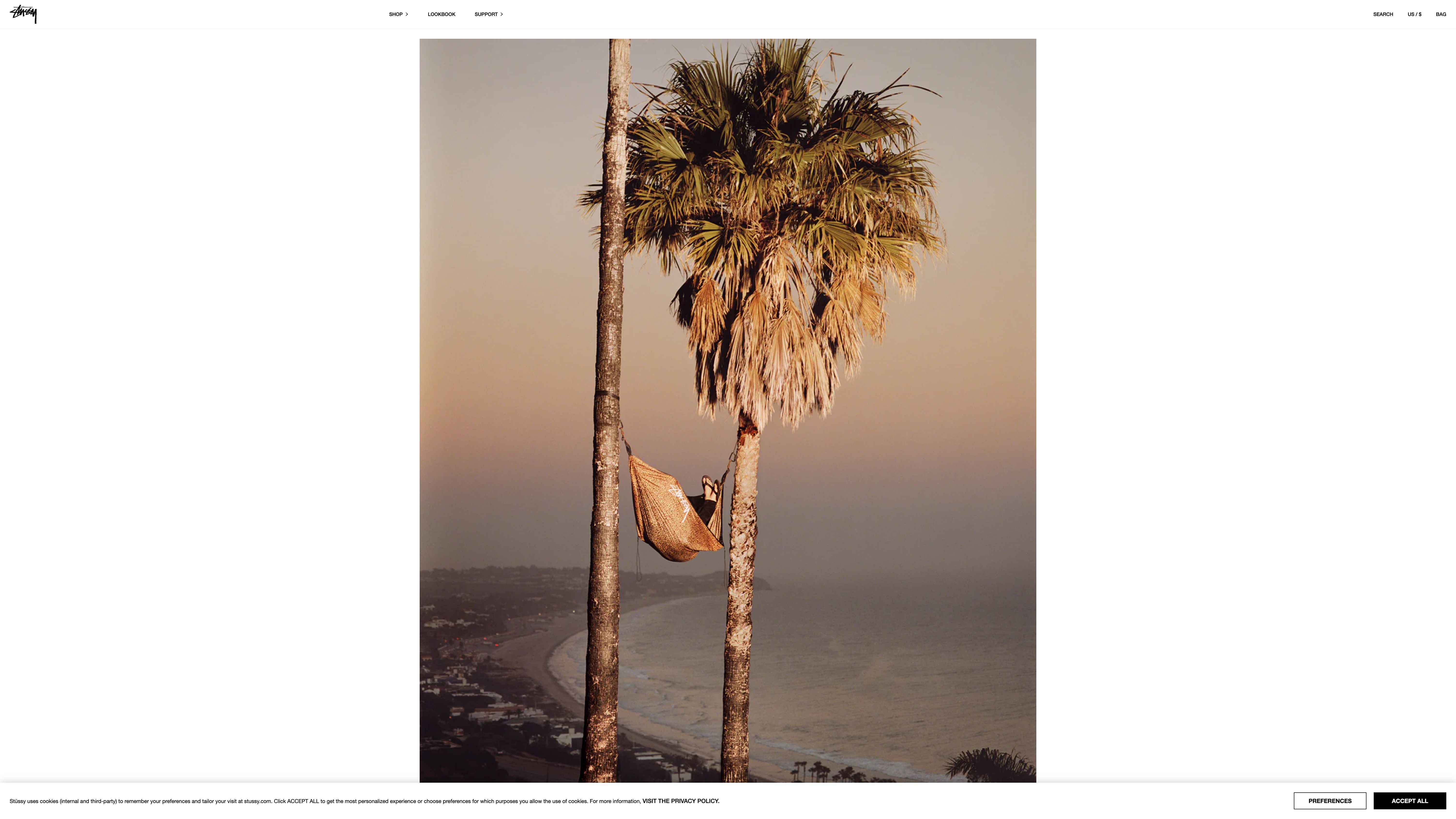 Global Paid Search Strategy and eCommerce Consultancy for Stüssy