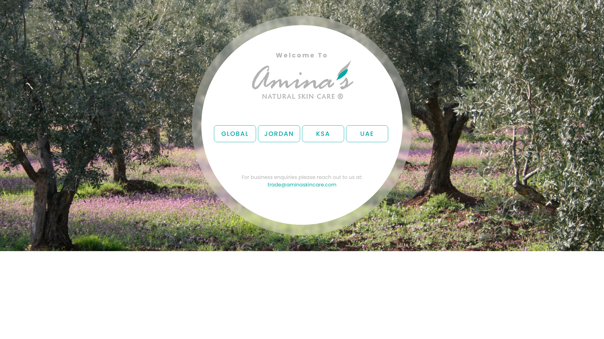 Amina’s Skin Care: Global Multi-Store Shopify Expansion