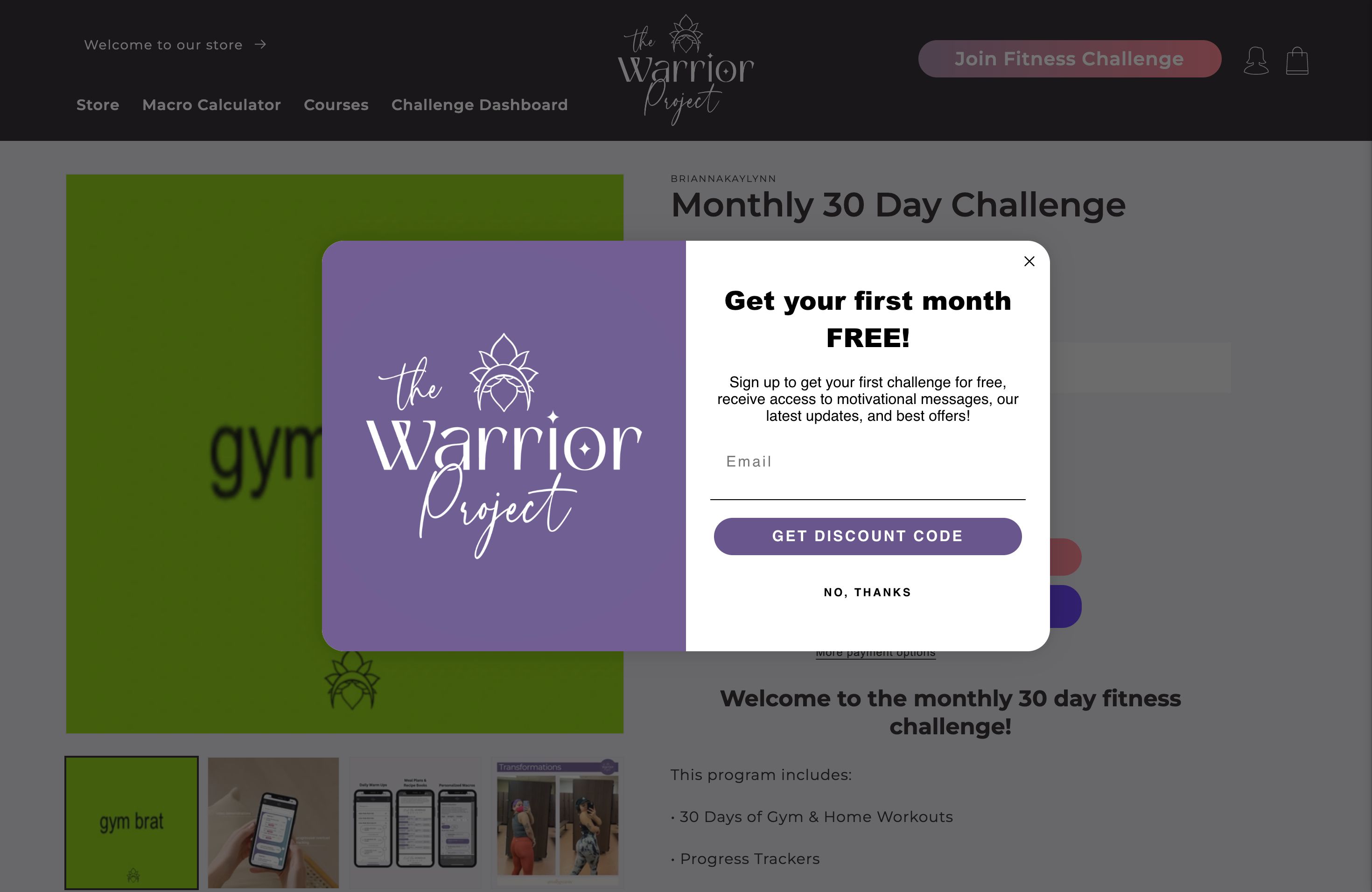 The Warrior Project screenshot