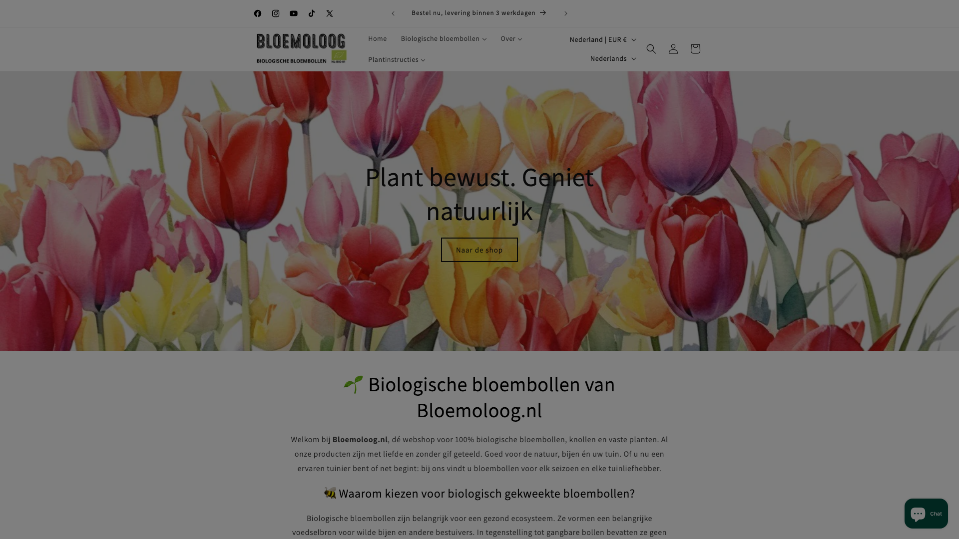 How Bloemoloog Used InterLinks to Enhance Multilingual SEO