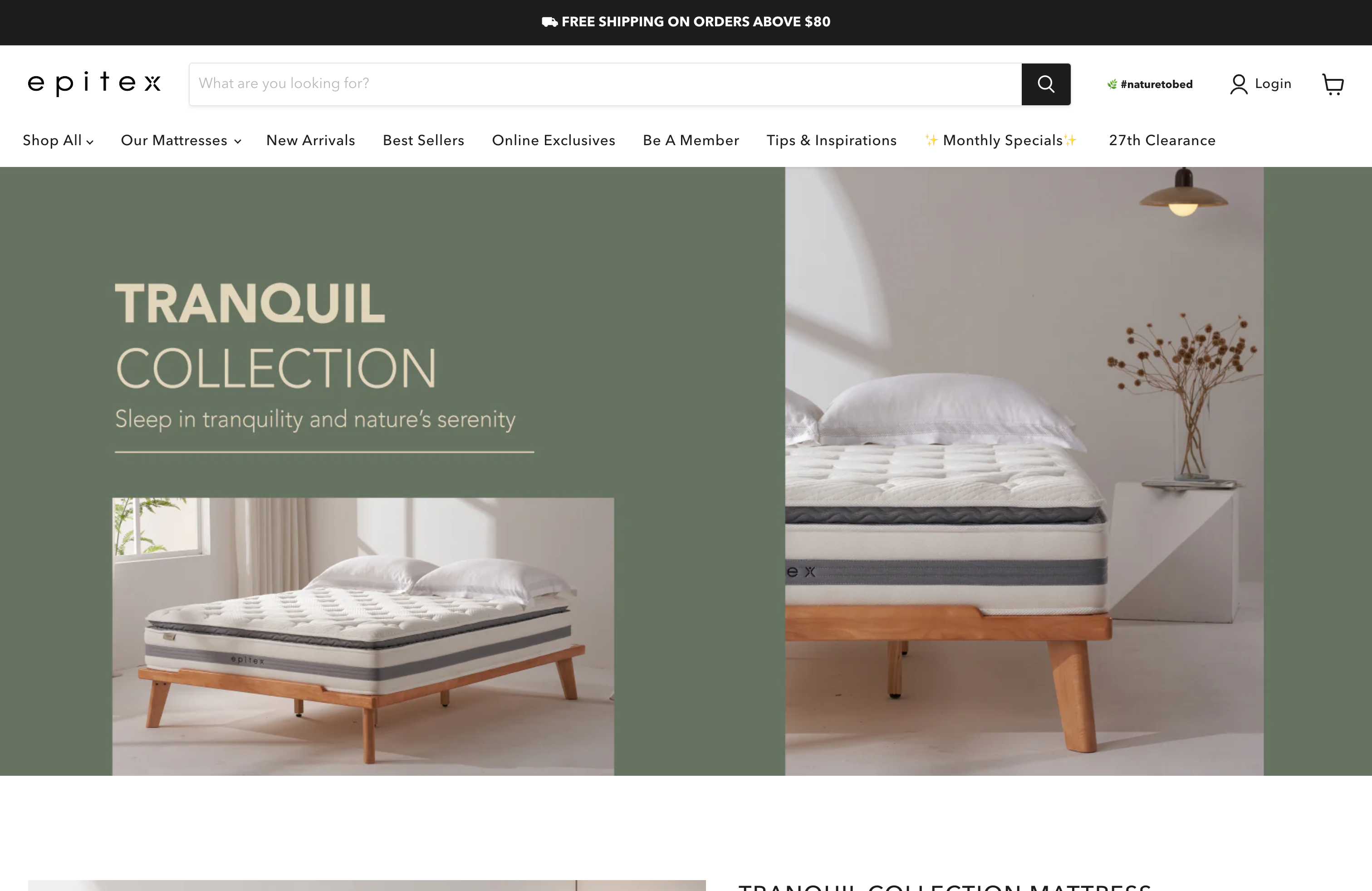 Epitex Home screenshot 2