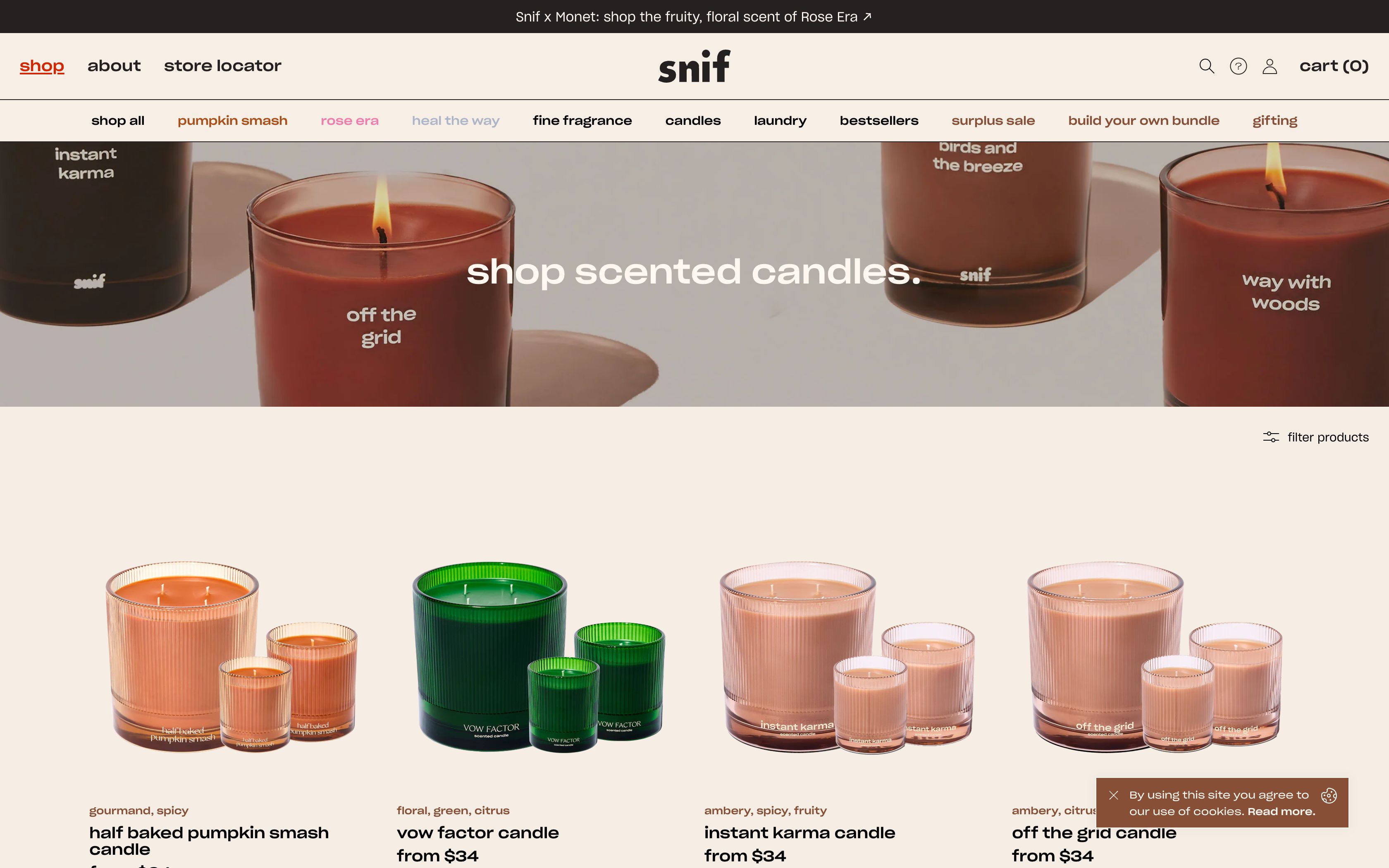 Innovative Ecommerce Strategy and Custom Development for Snif