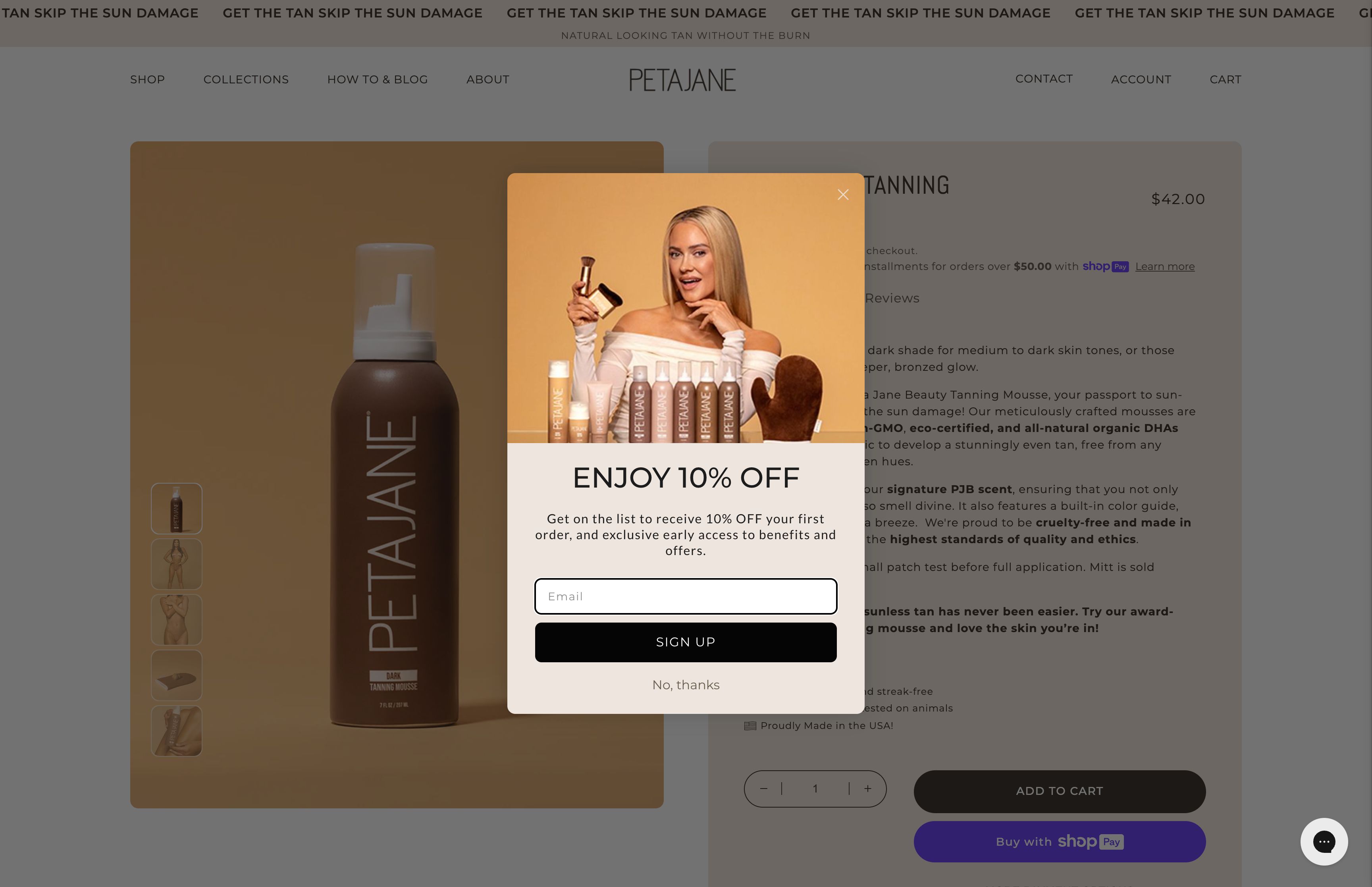 PetaJane screenshot 2