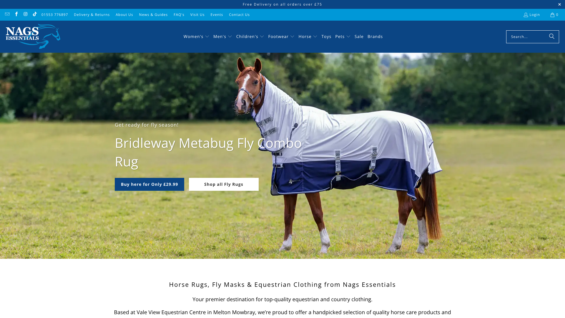 Nags Essentials Theme Upgrade & Monthly Marketing