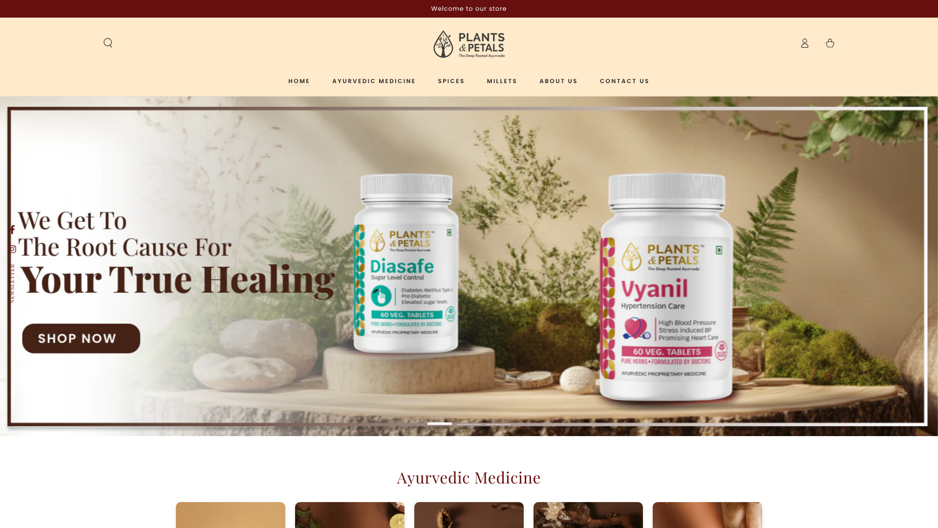Plants & Petals | Website Transformation