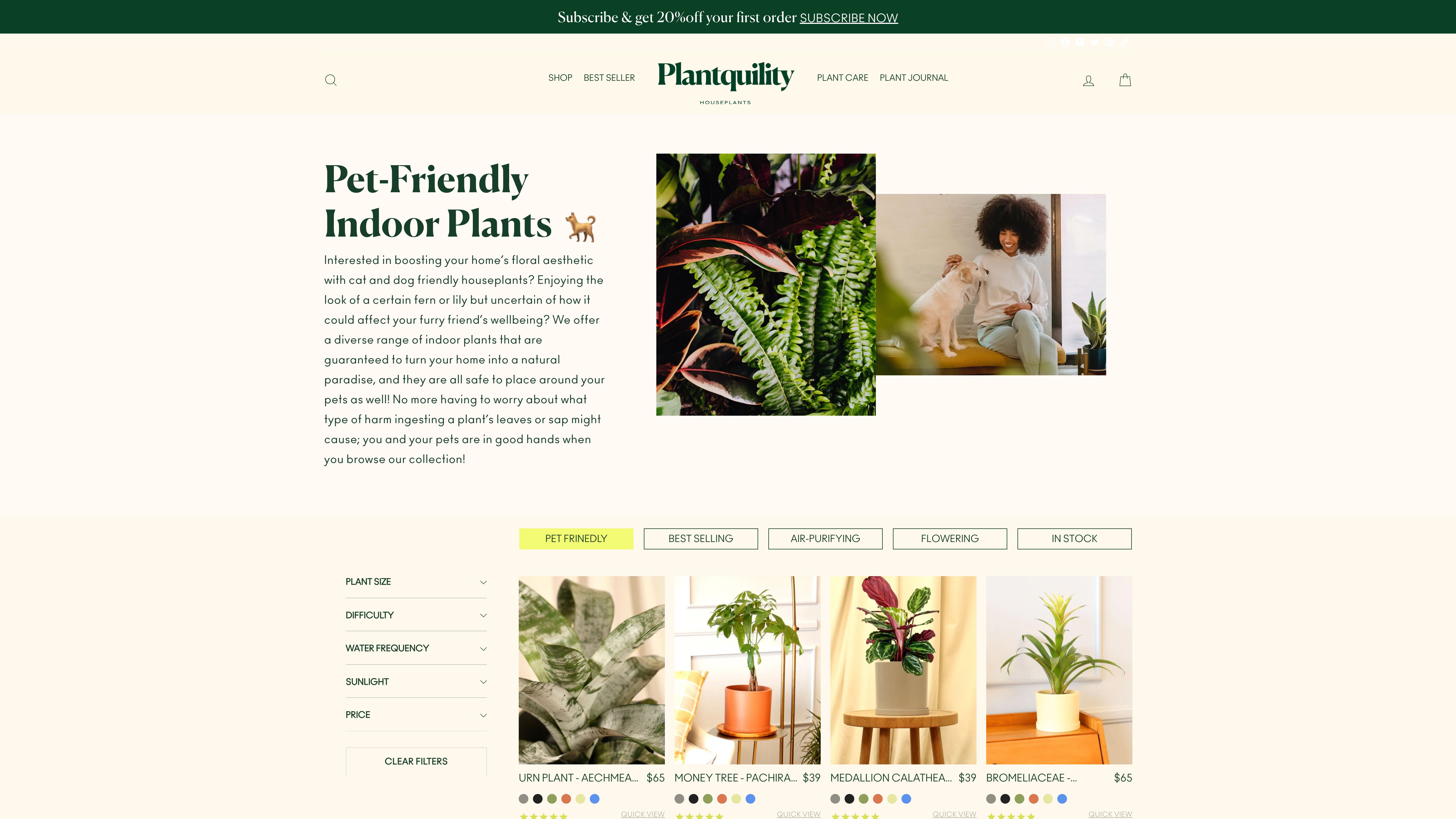  PLANT QUILITY - Complete Store Development & Design screenshot 2