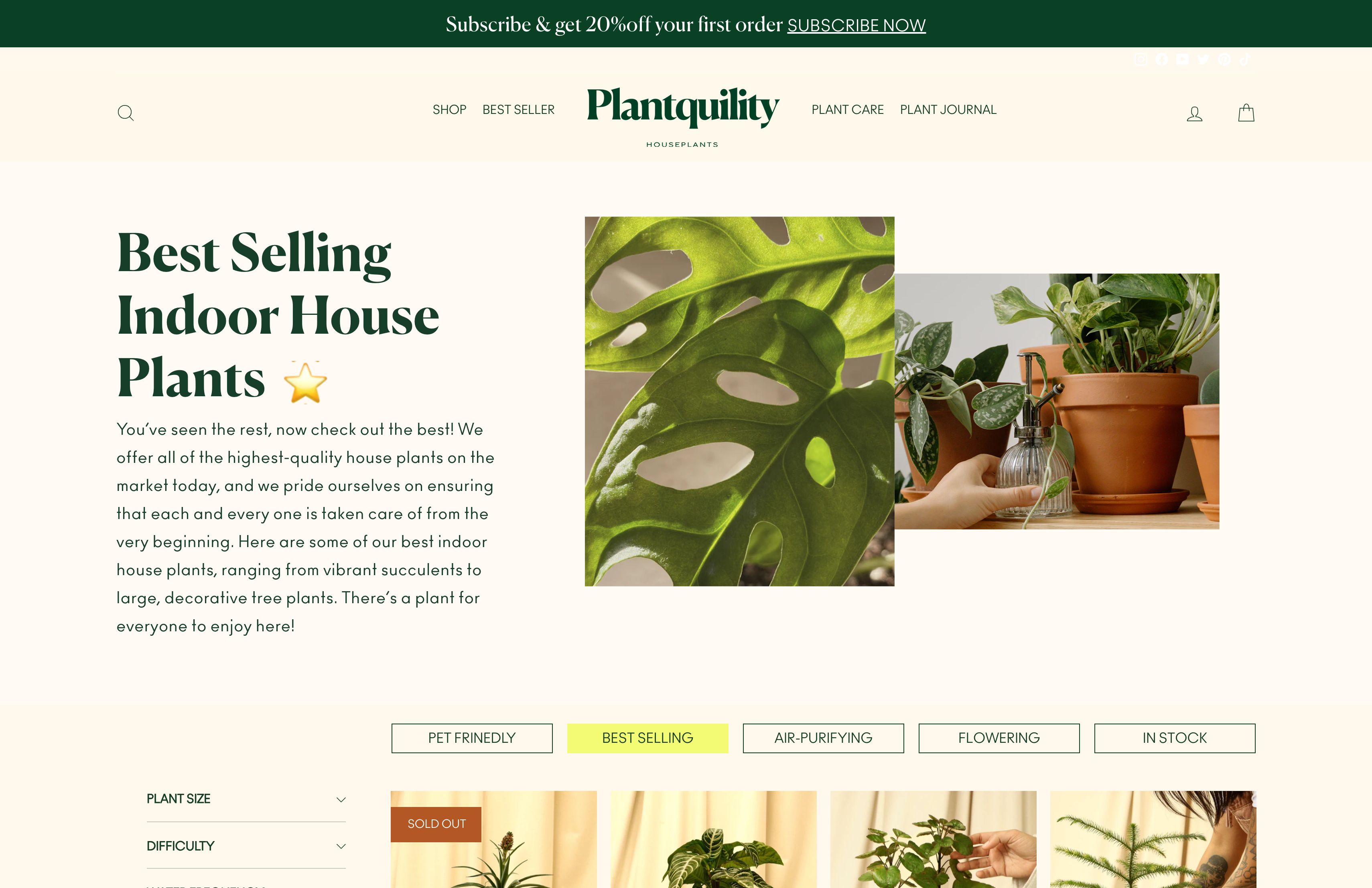 Complete Store Development & Design for Plantquility