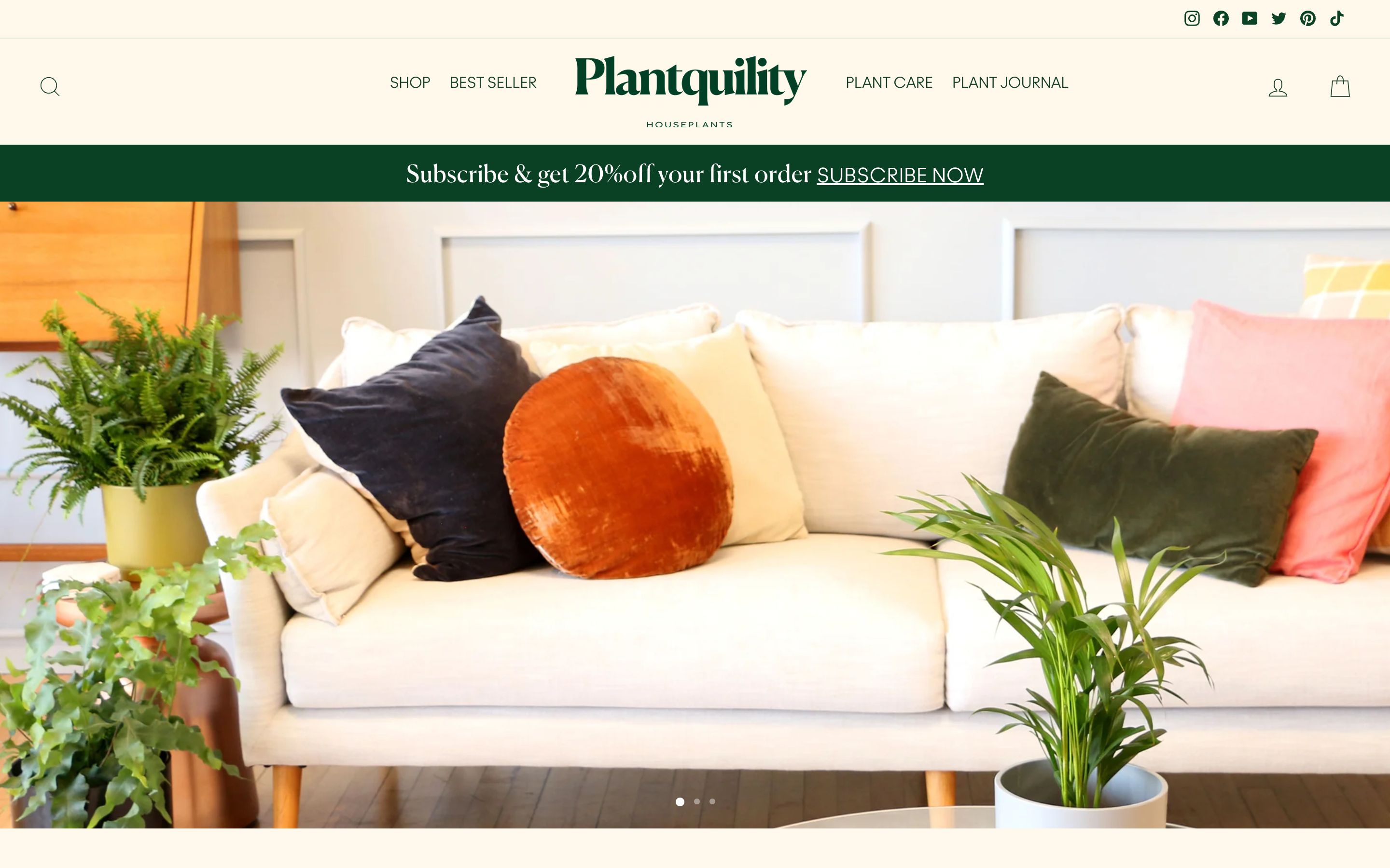  PLANT QUILITY - Complete Store Development & Design screenshot 5