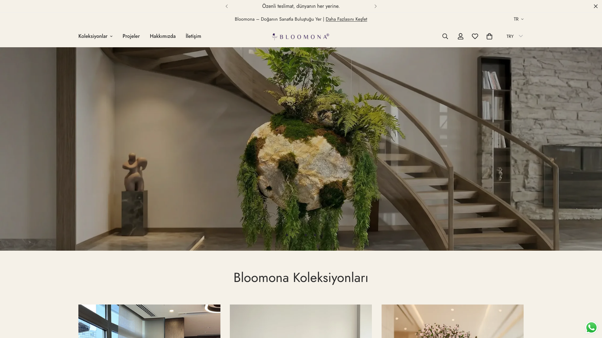 Bloomona: from design to SEO&GEO