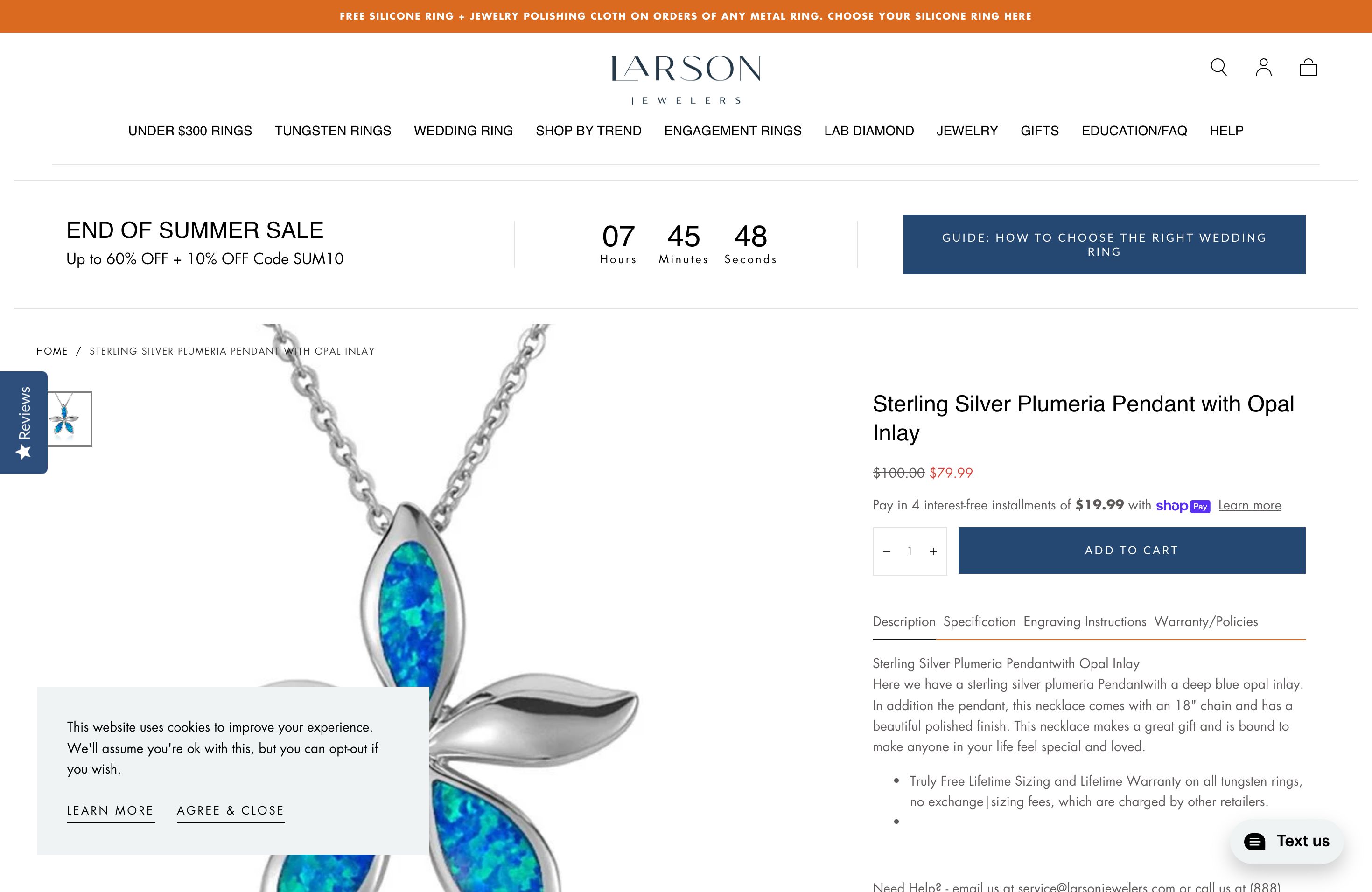 Larson Enhances Business with Shopify Migration screenshot 6