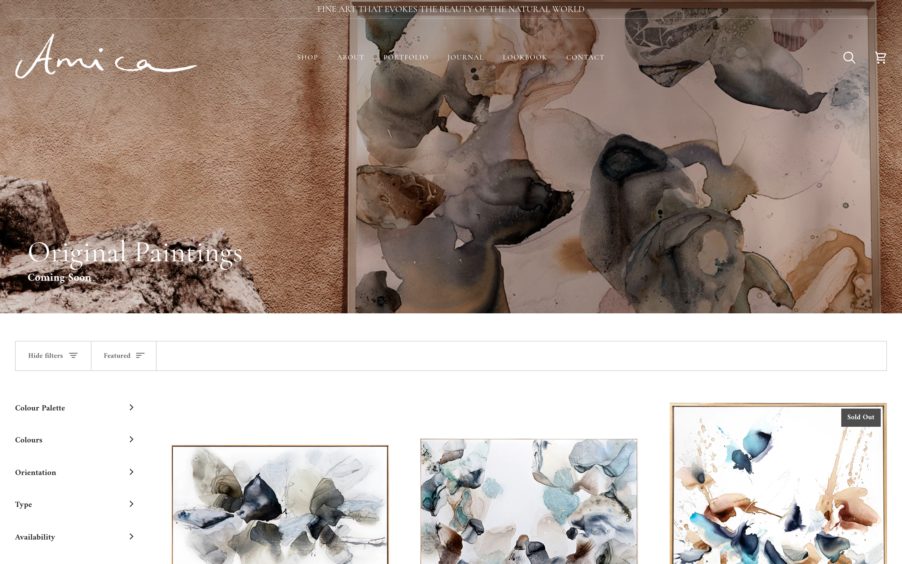 From Wix to Shopify screenshot 2