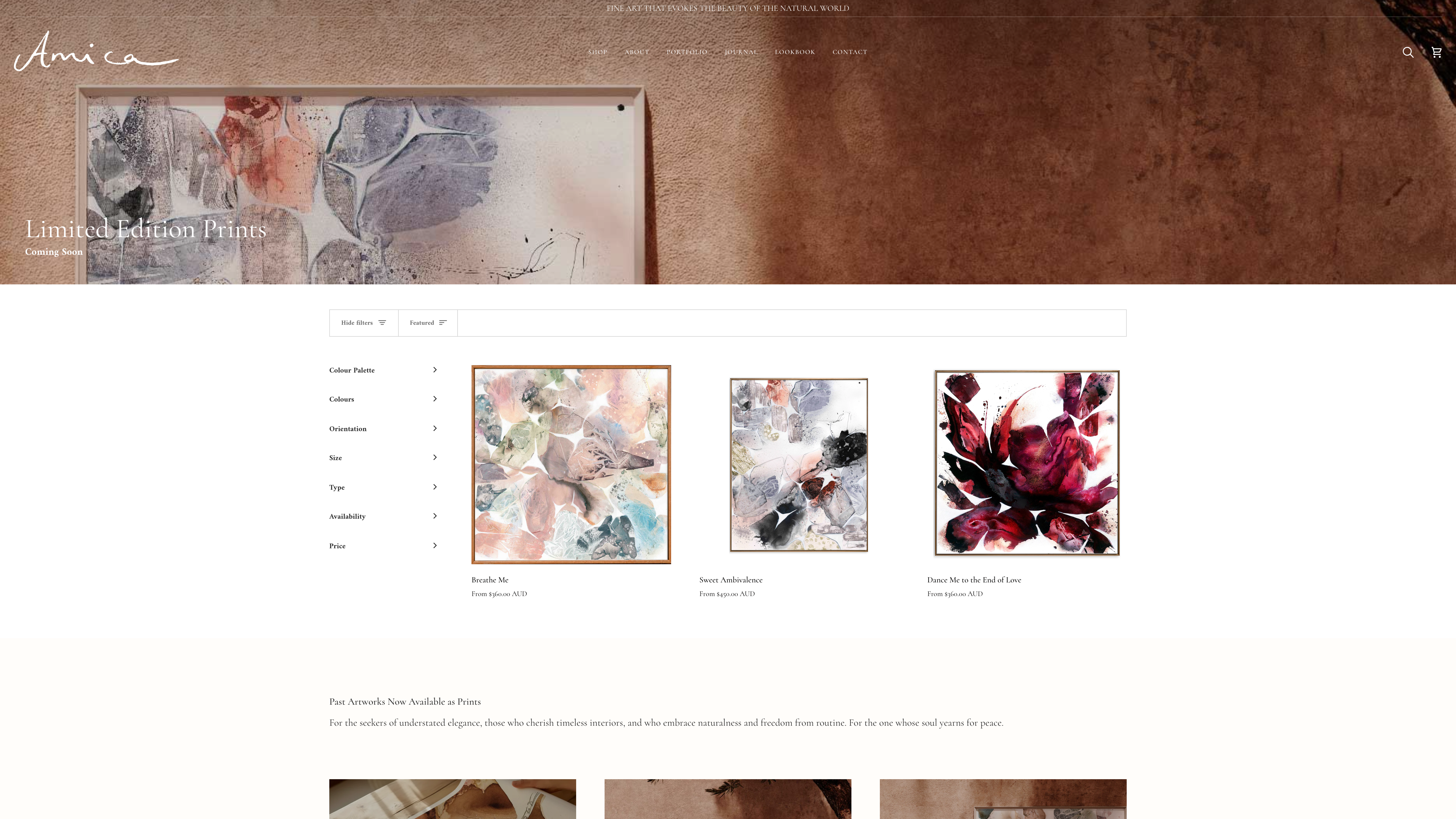 From Wix to Shopify screenshot 3