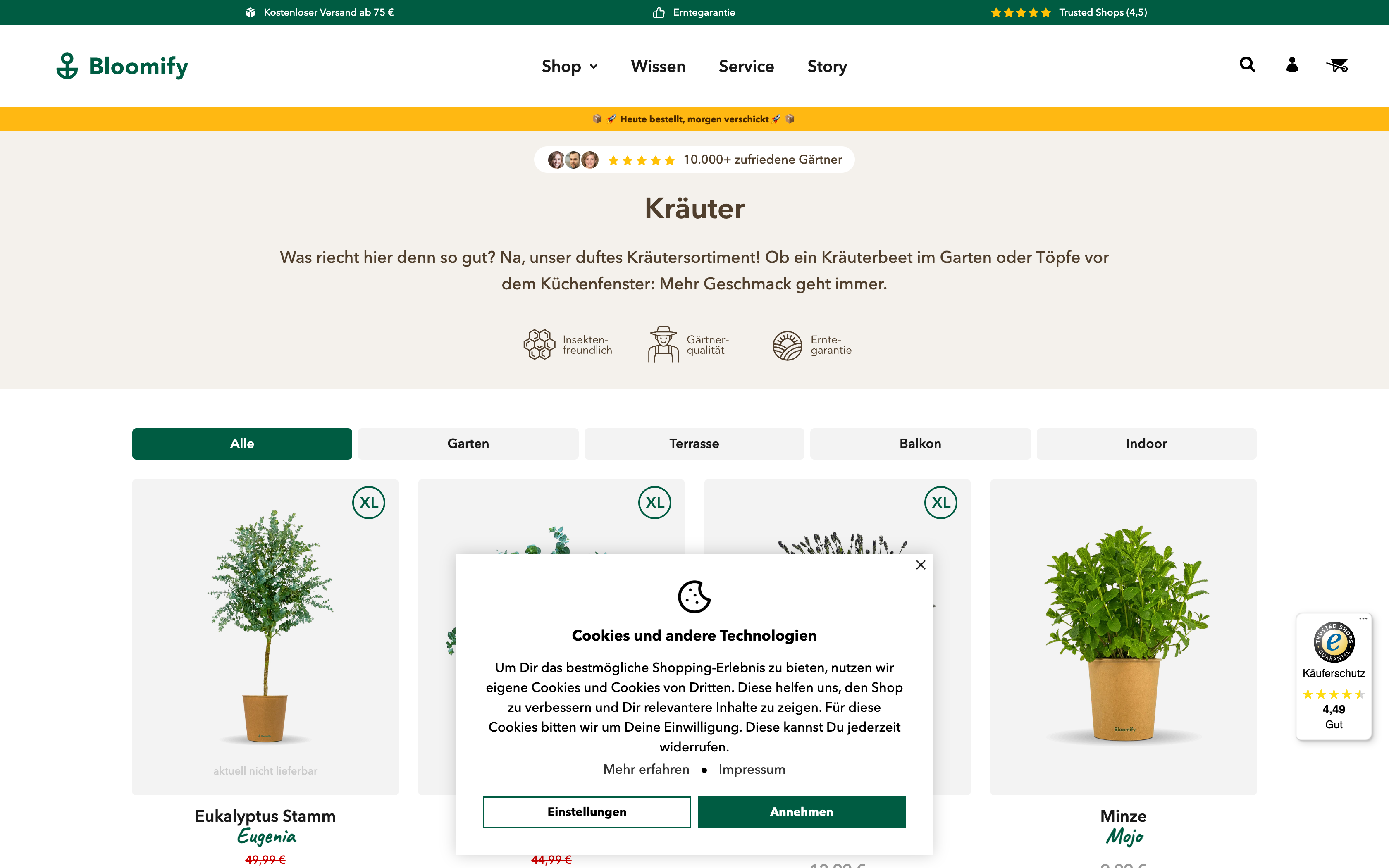 Shopify Migration Bloomify screenshot 2