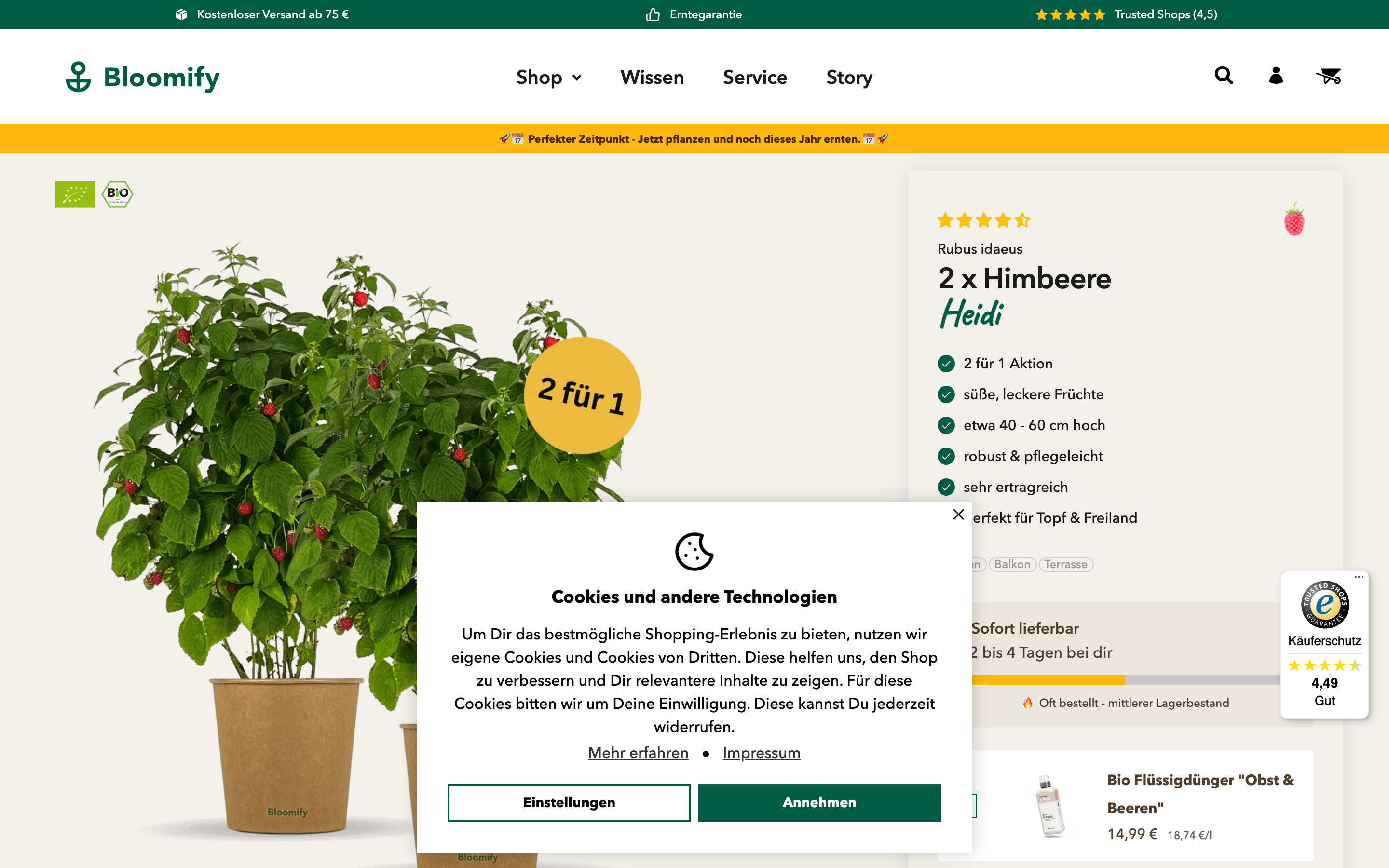 Shopify Migration Bloomify screenshot 4
