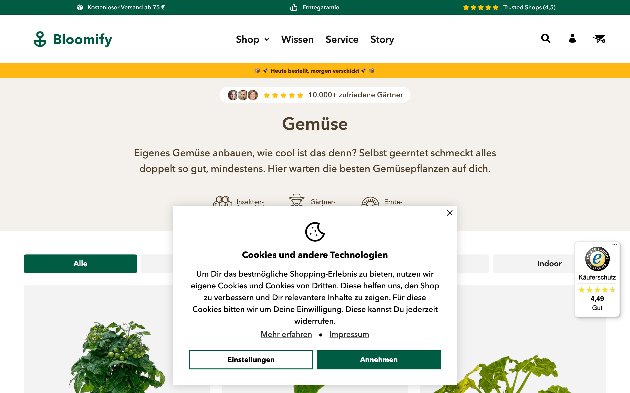 Shopify Migration Bloomify screenshot