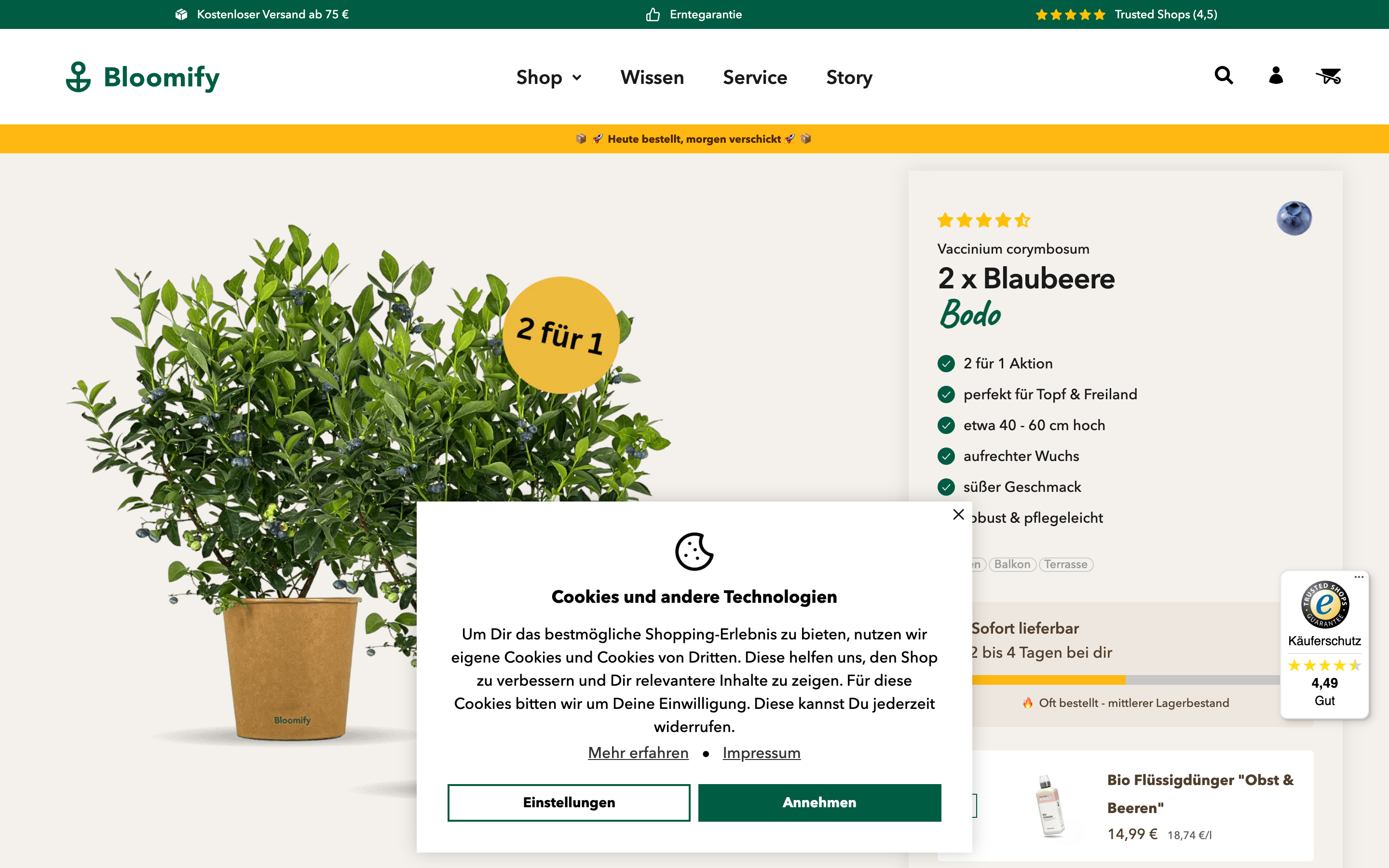 Shopify Migration Bloomify screenshot 5