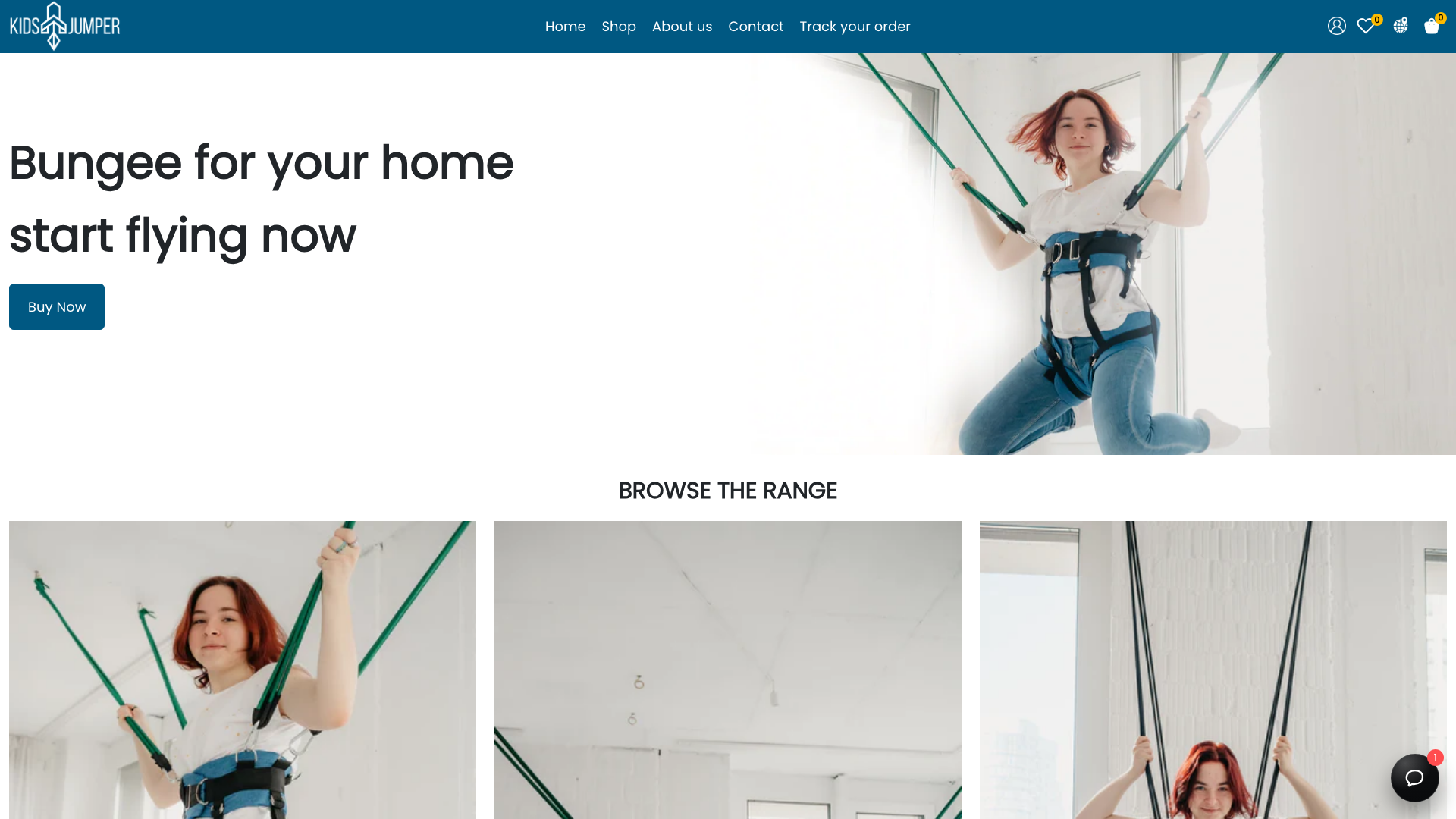 Creating a Shopify store with innovative bangee