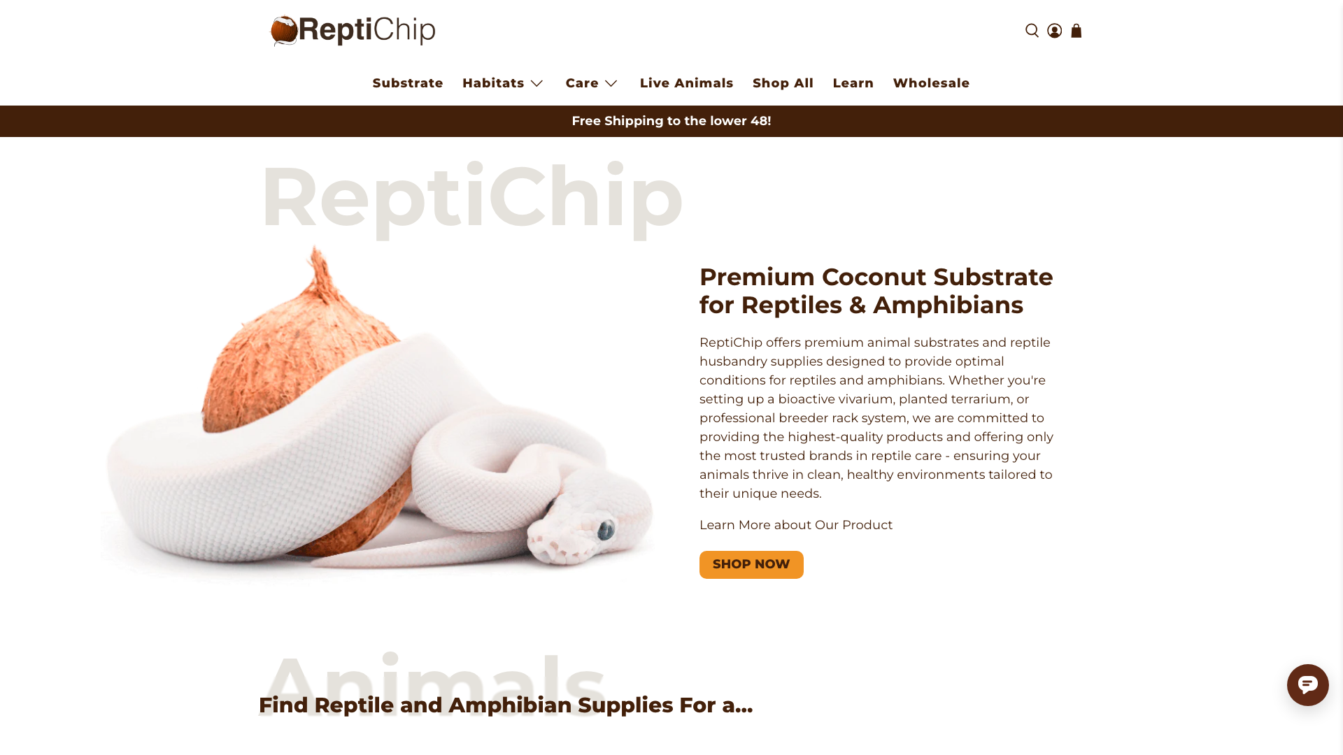 Reptichip