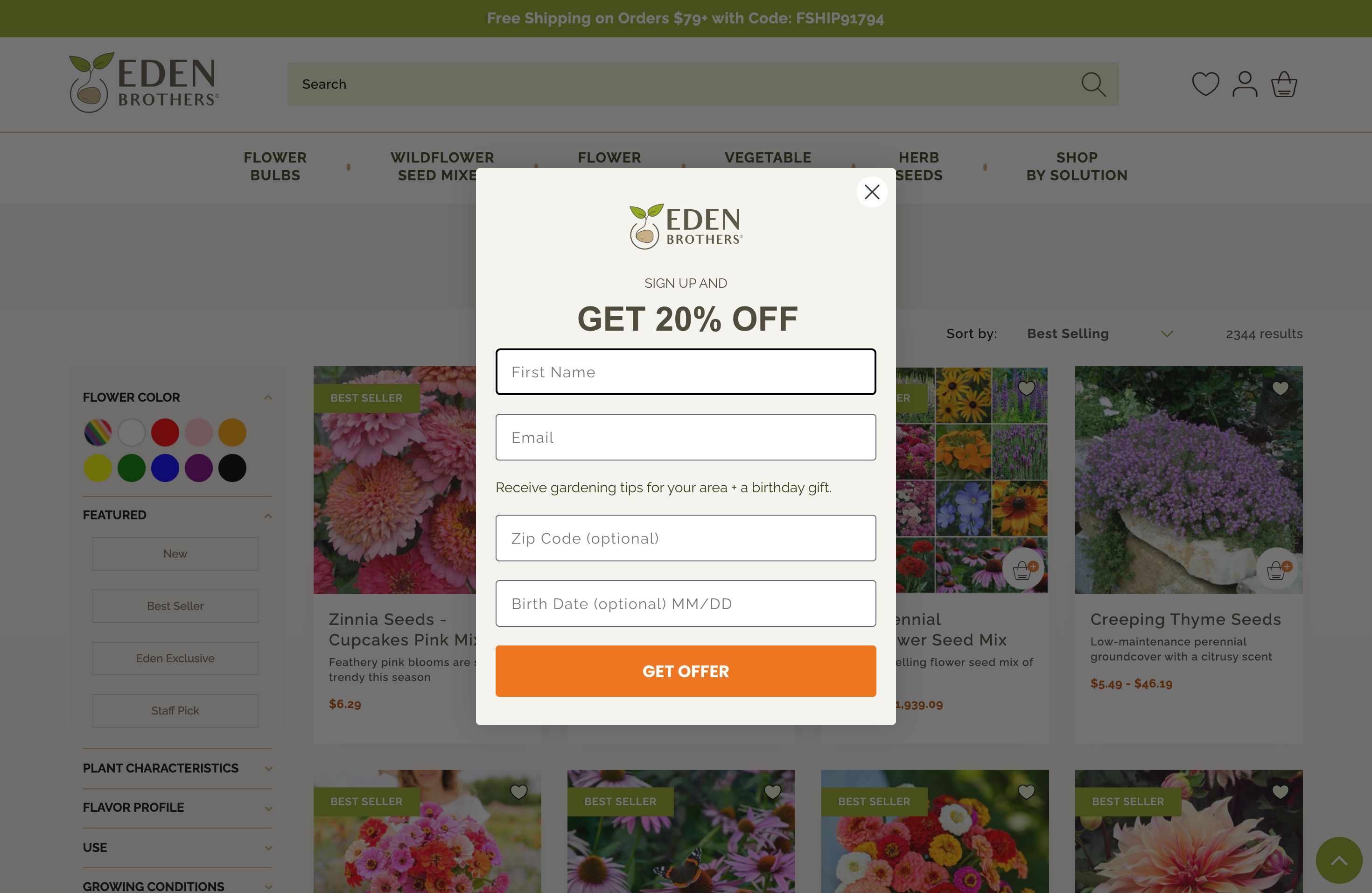 Eden Brothers: Enhanced Customer Experience Through Strategic Site Migration