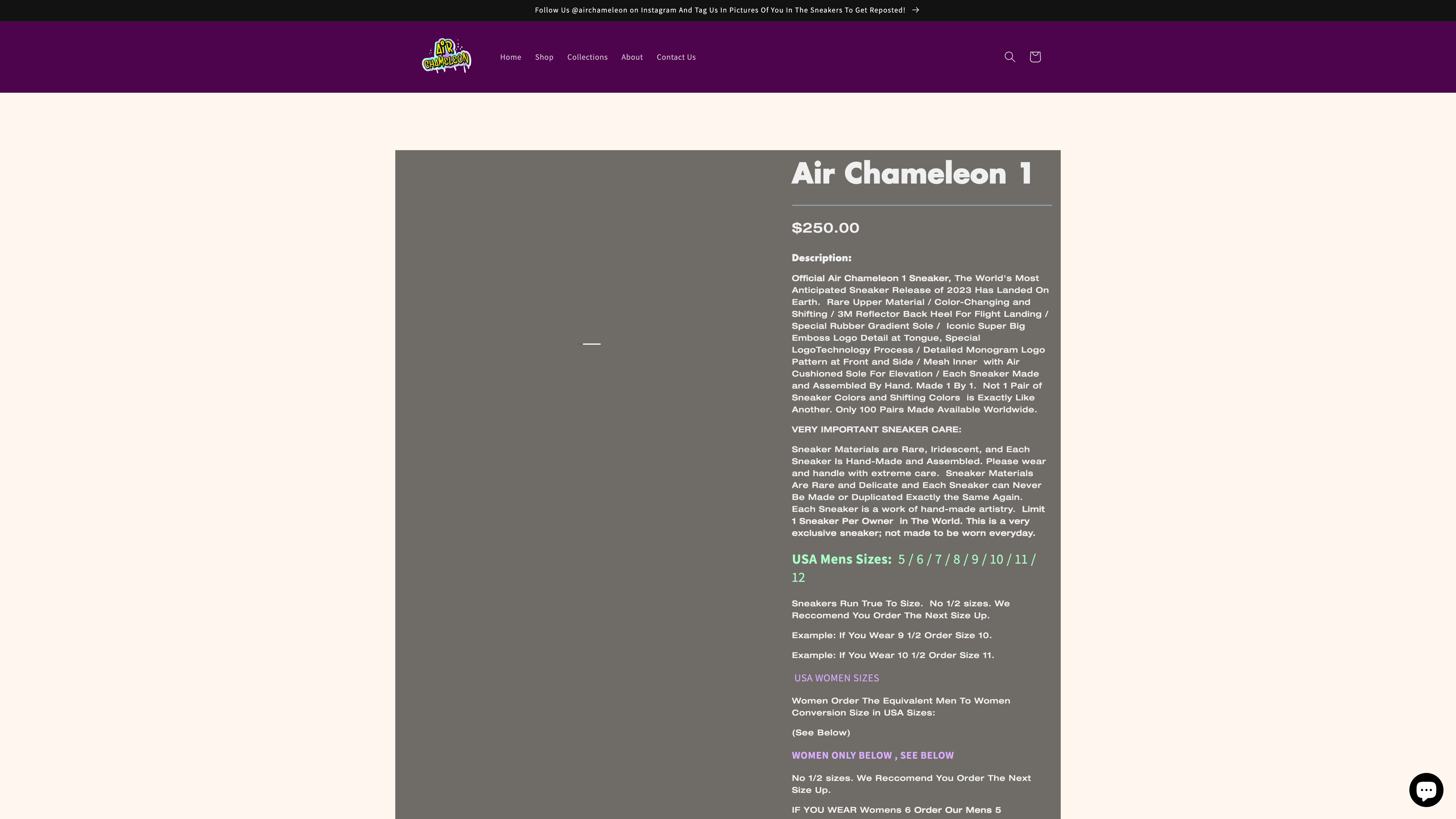 Air Chameleon Sneakers screenshot 2