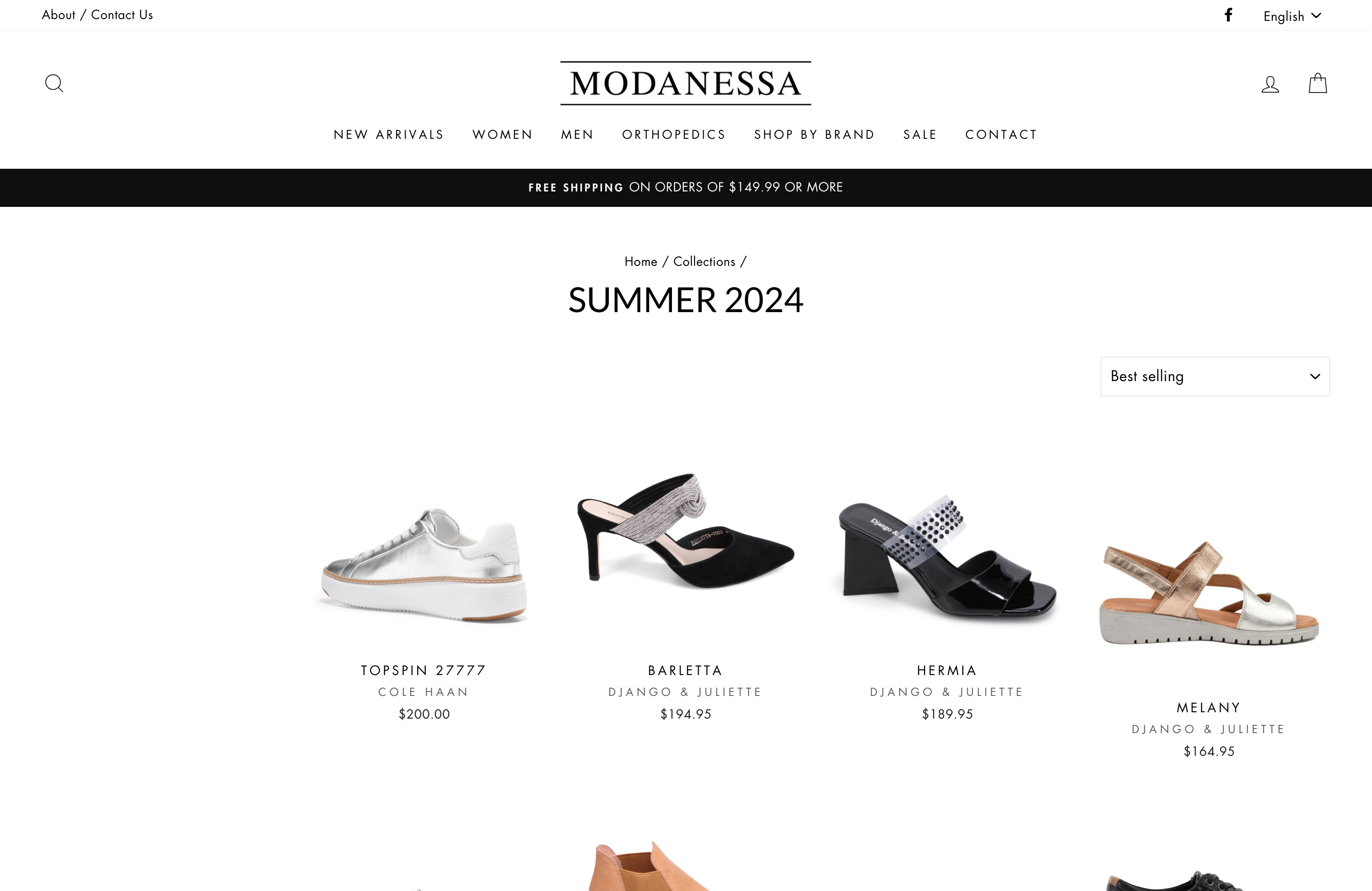 Modanessa Shoes: Expanding Retail with a Modern Online Presence