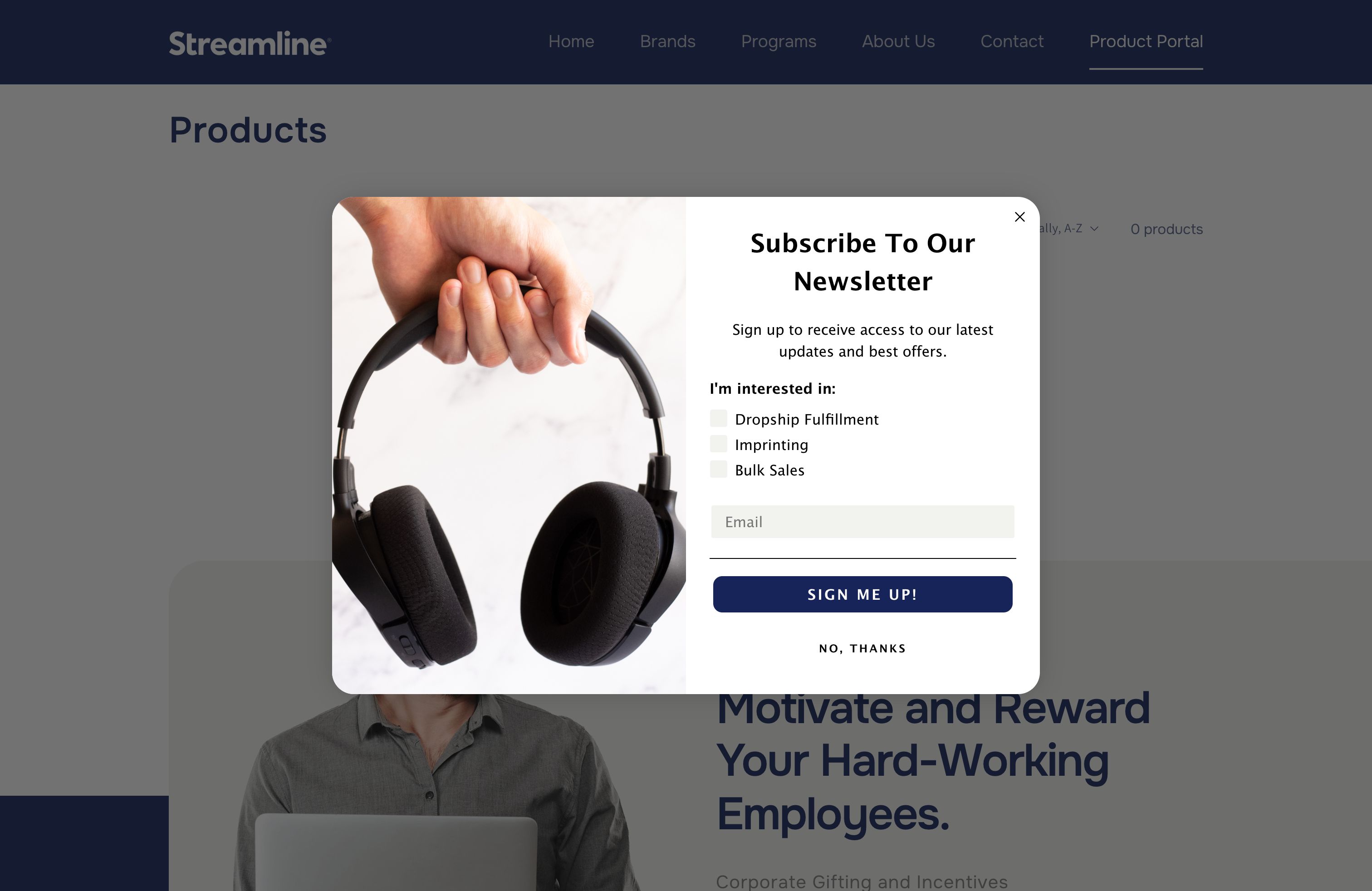 Strategic Web Design and Ongoing Management for Streamline Distributors