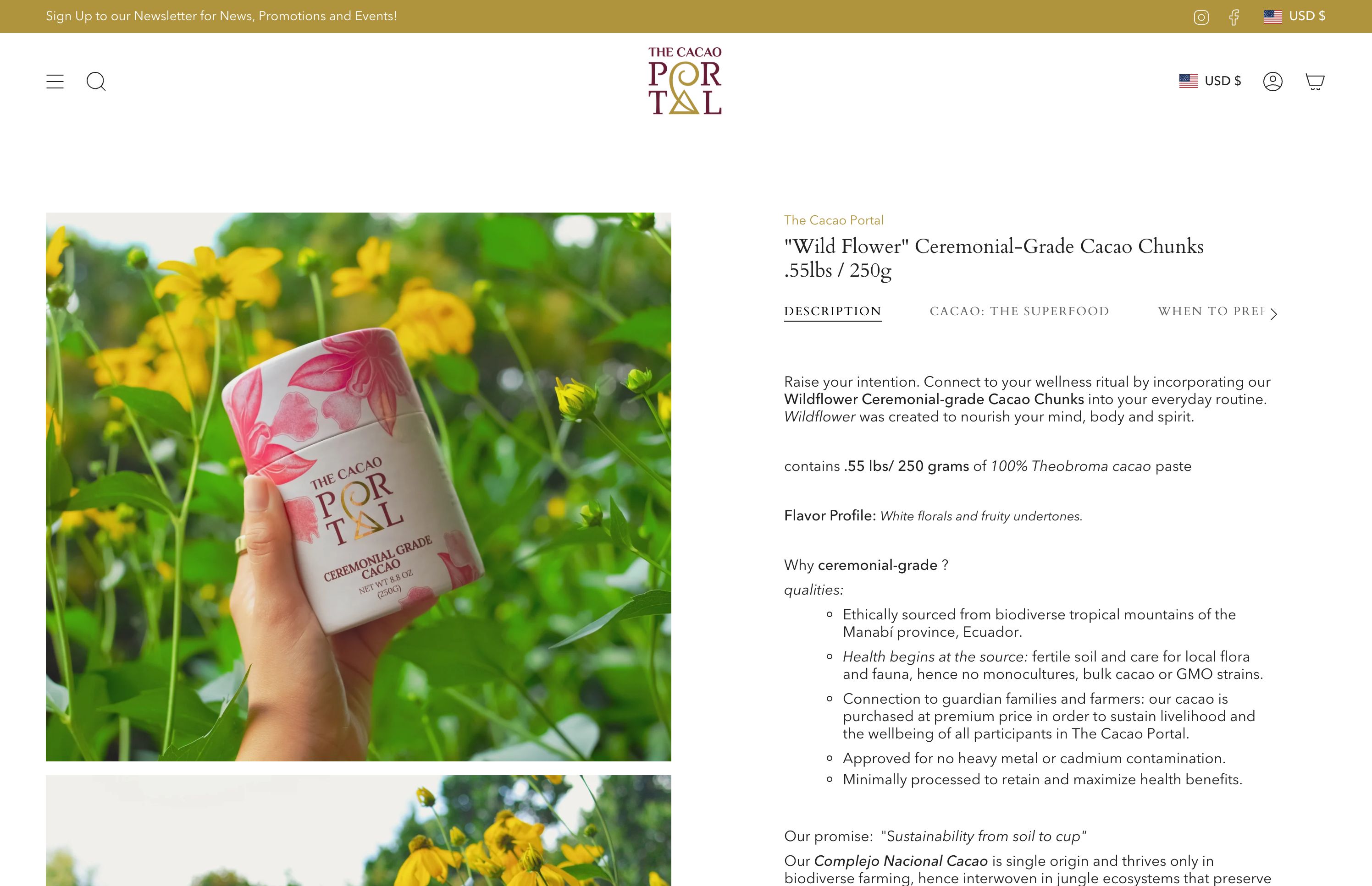 The Cacao Portal | Creative Design  screenshot 3