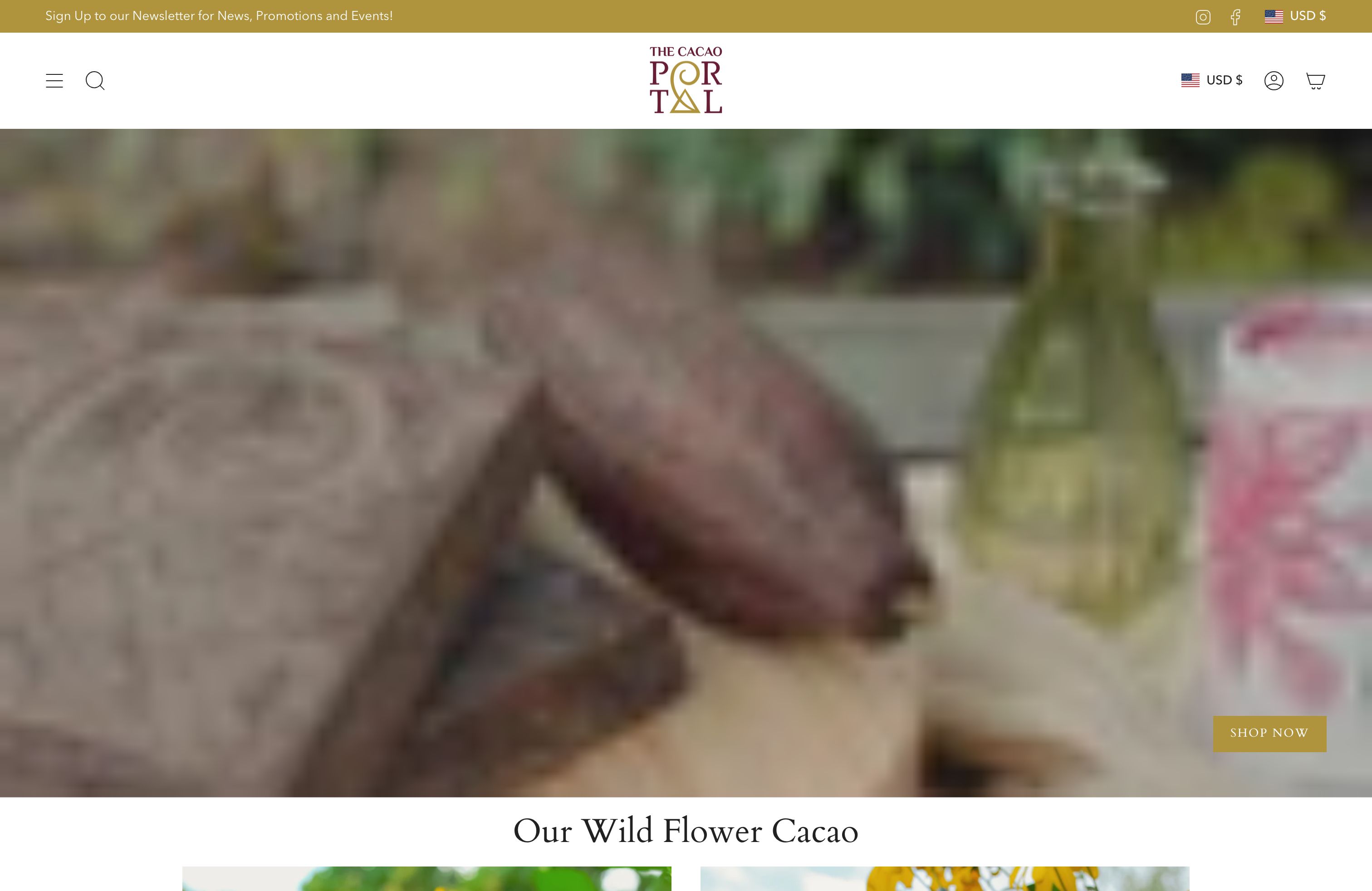 The Cacao Portal | Creative Design  screenshot 4