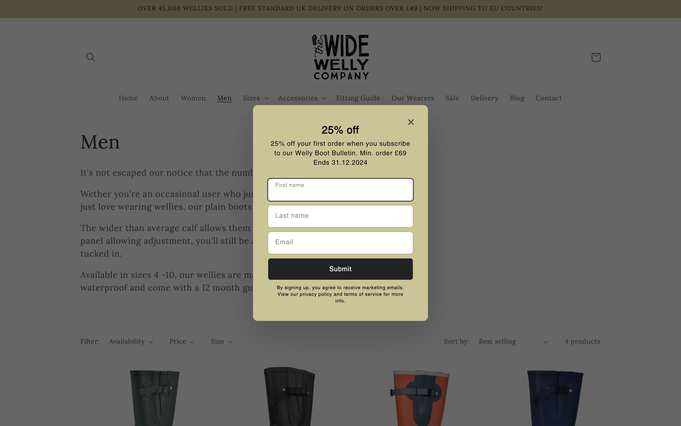 Fashion website screenshot 2