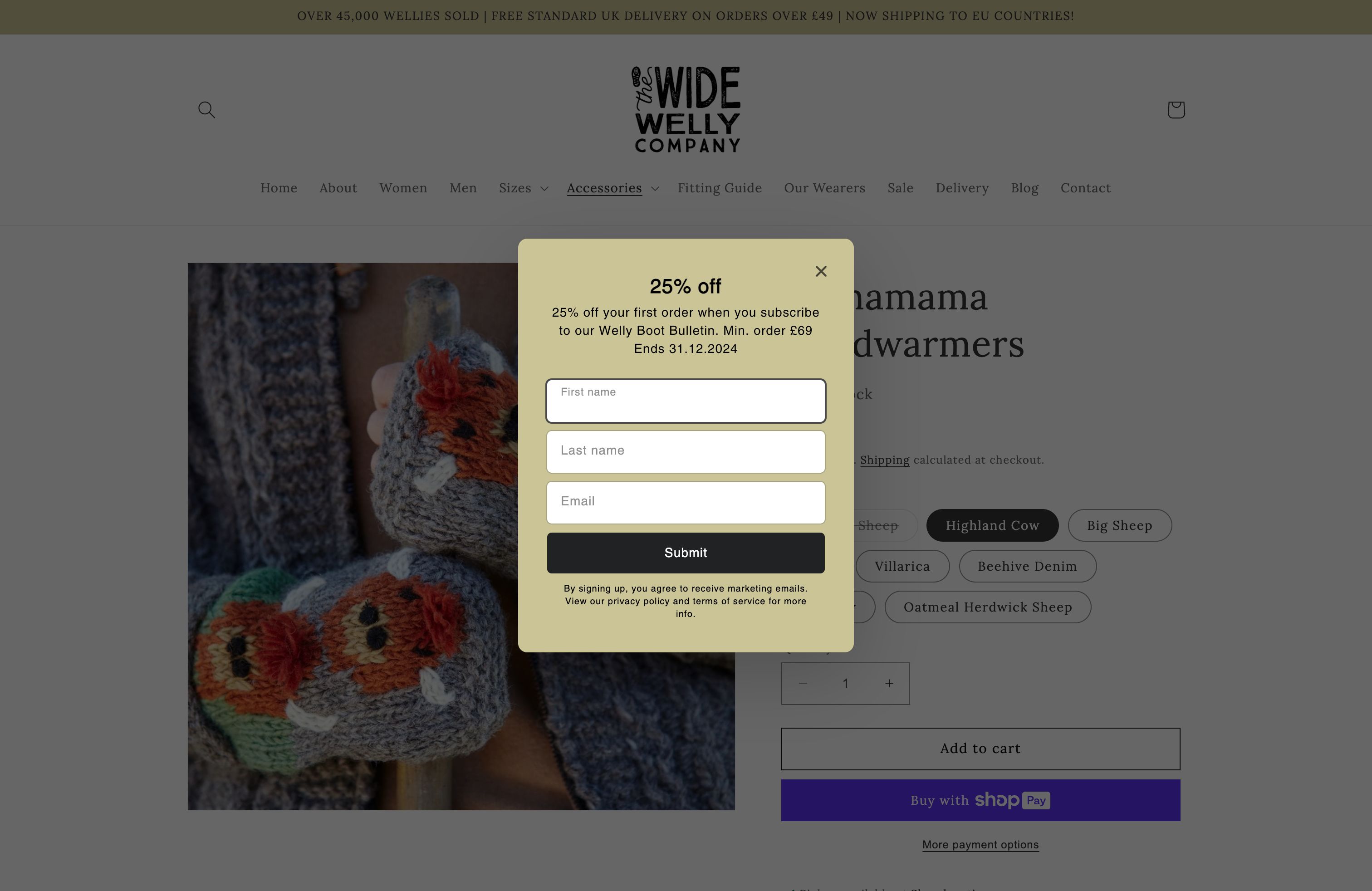 Fashion website screenshot 3