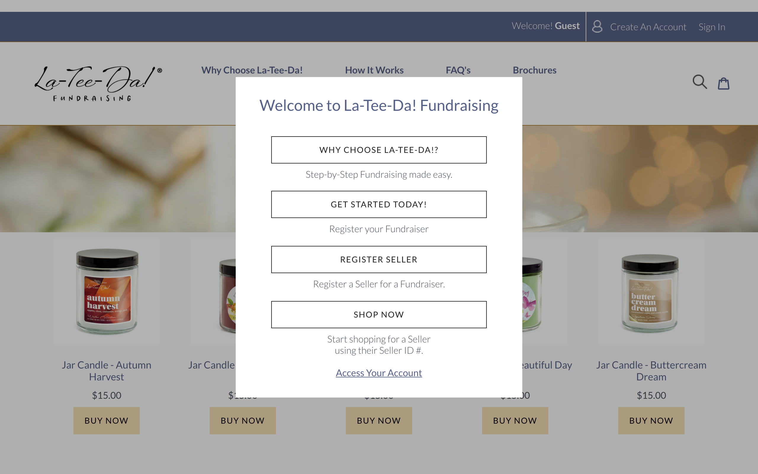 La-Tee-Da! Fundraising screenshot 2