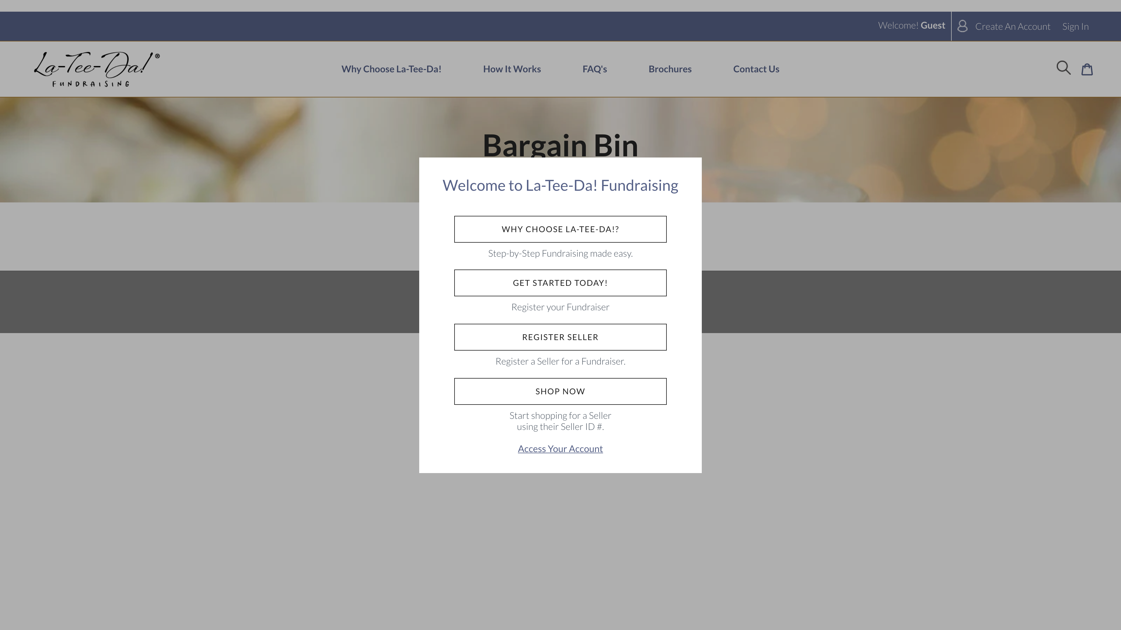 La-Tee-Da! Fundraising screenshot 3