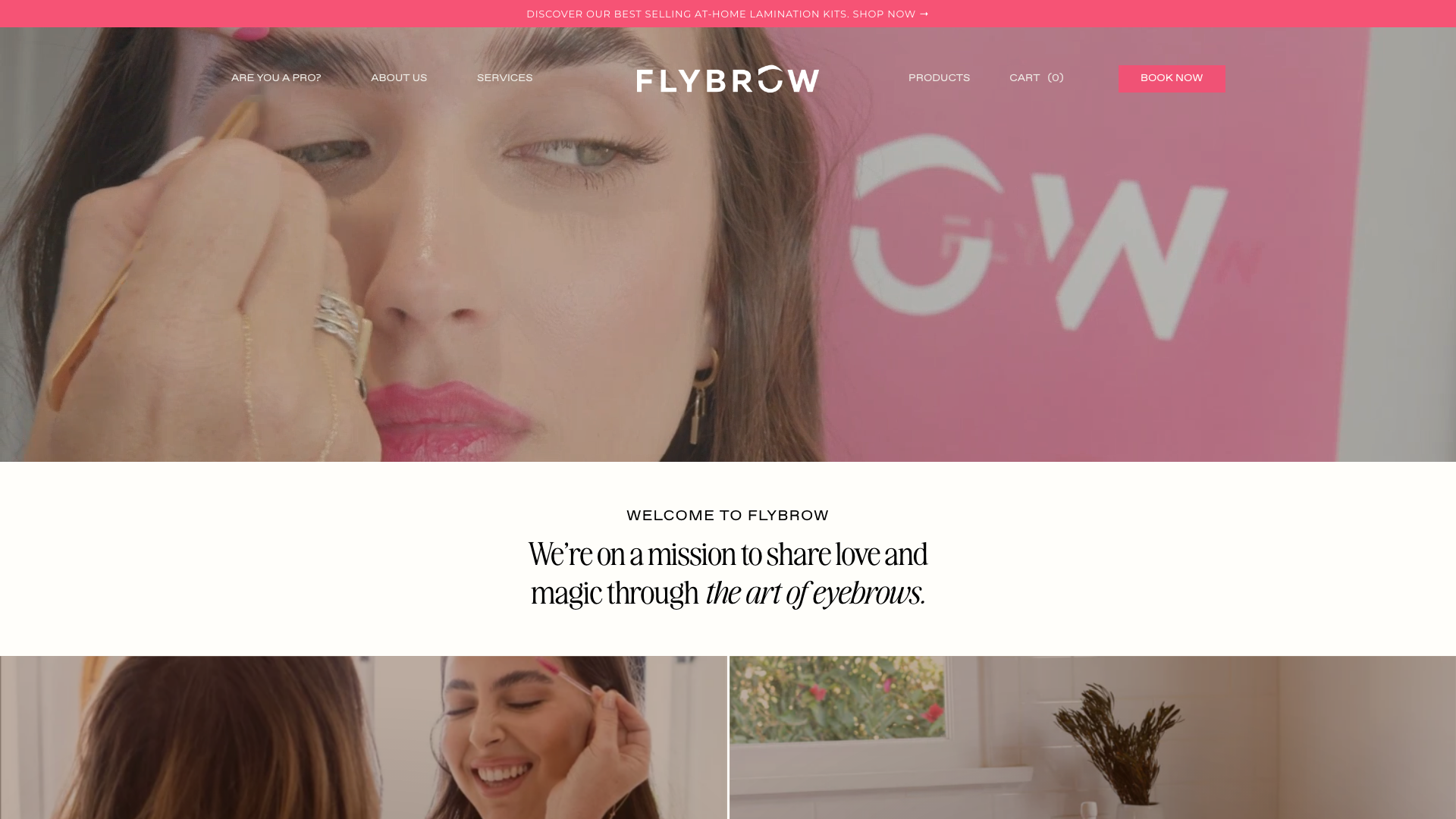 Flybrow