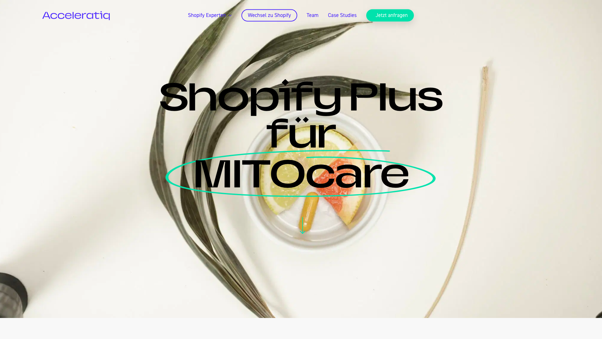 MITOcare - Shopmigration zu Shopify Plus