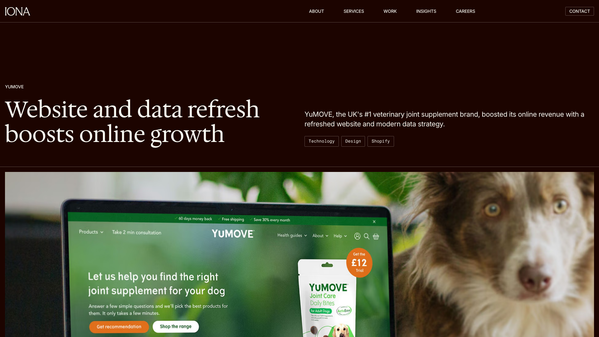 YuMove: Website and data refresh boosts online growth