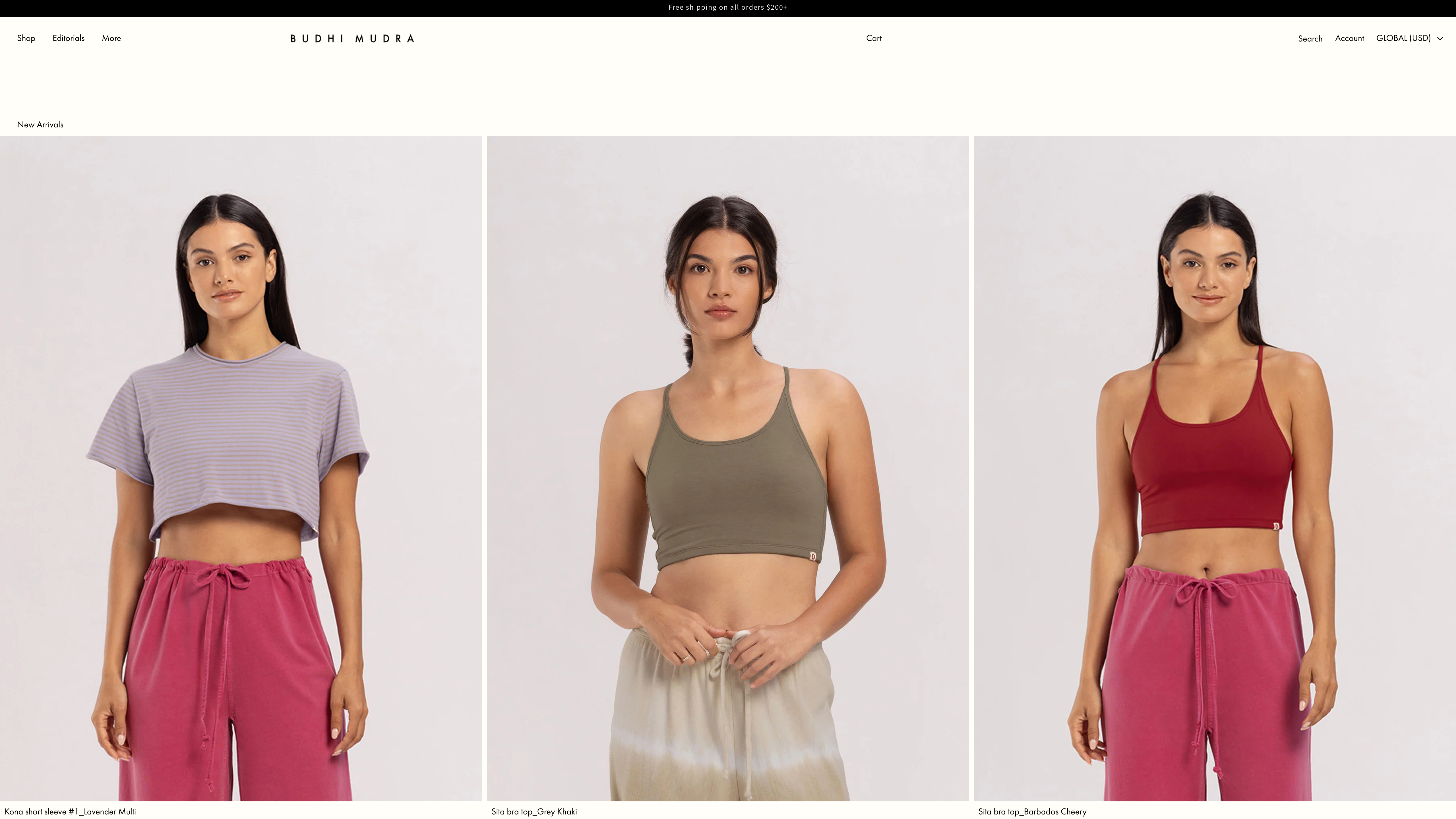 Budhi Mudra Global screenshot 4