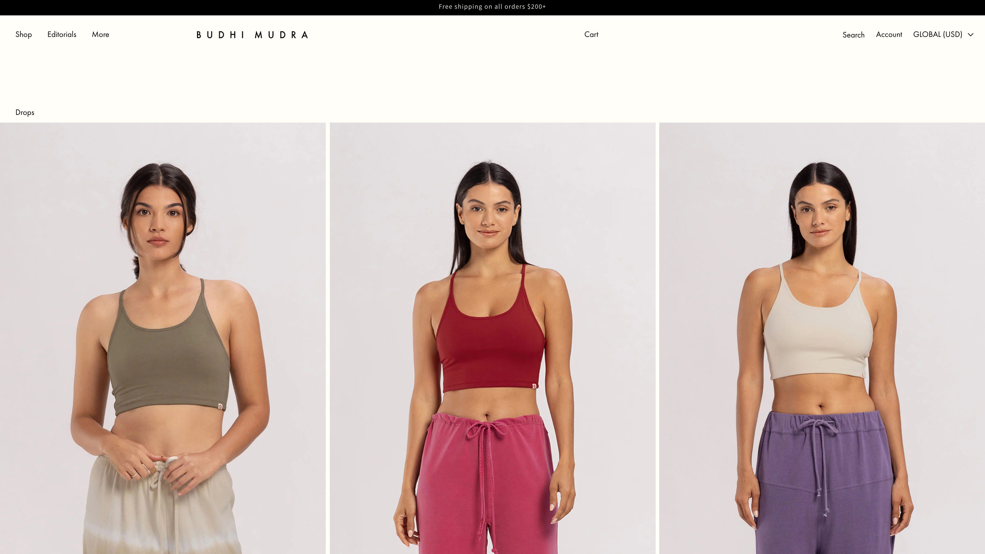 Budhi Mudra Global screenshot 3