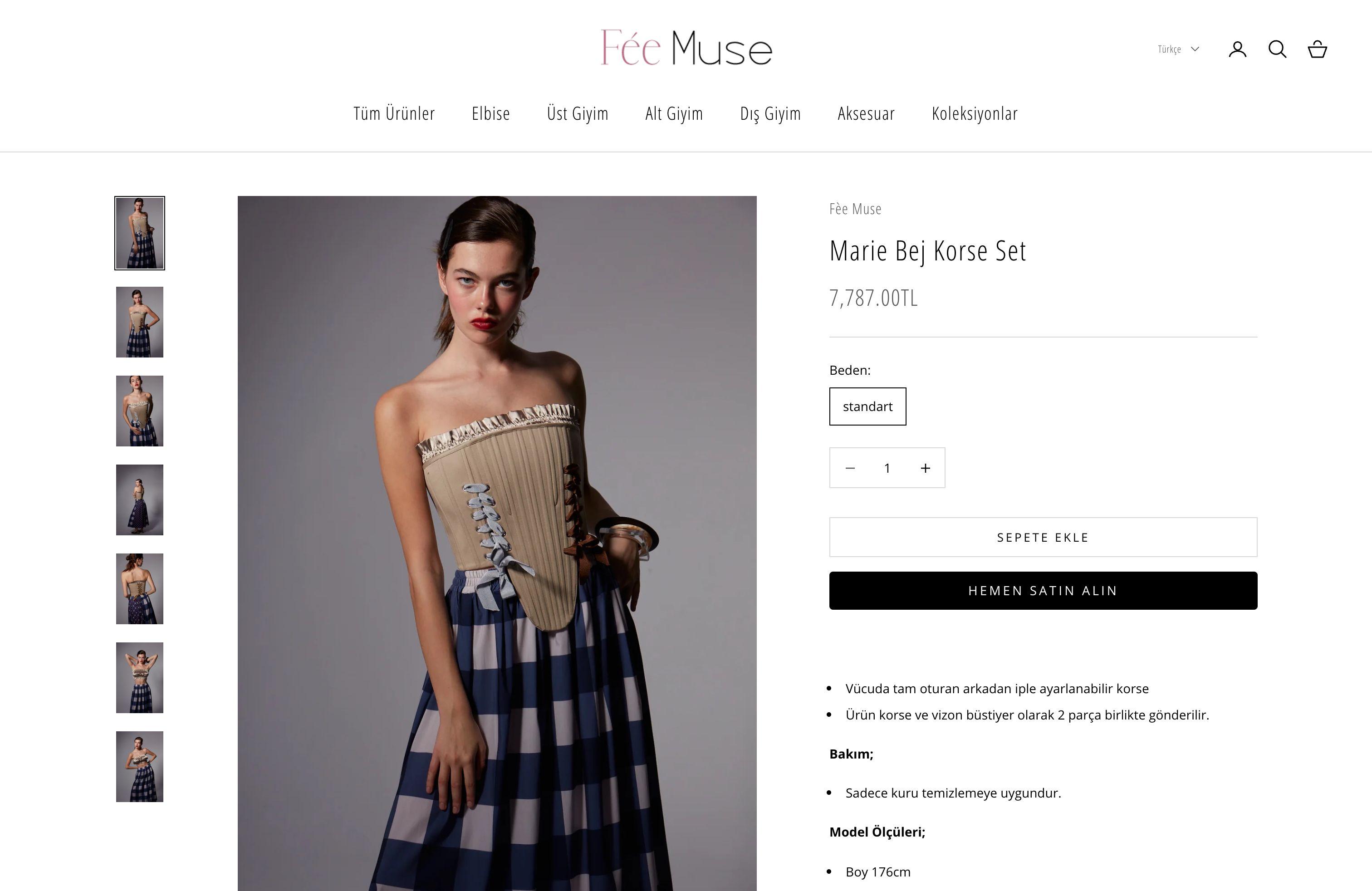 Theme customization screenshot 2