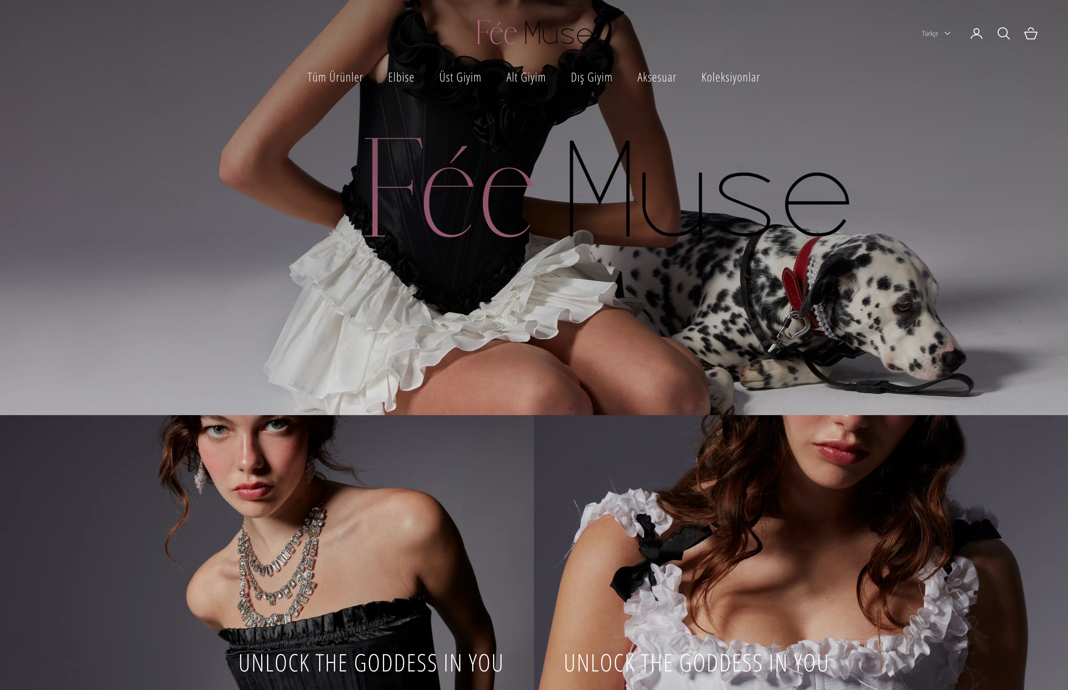 Theme customization screenshot 6