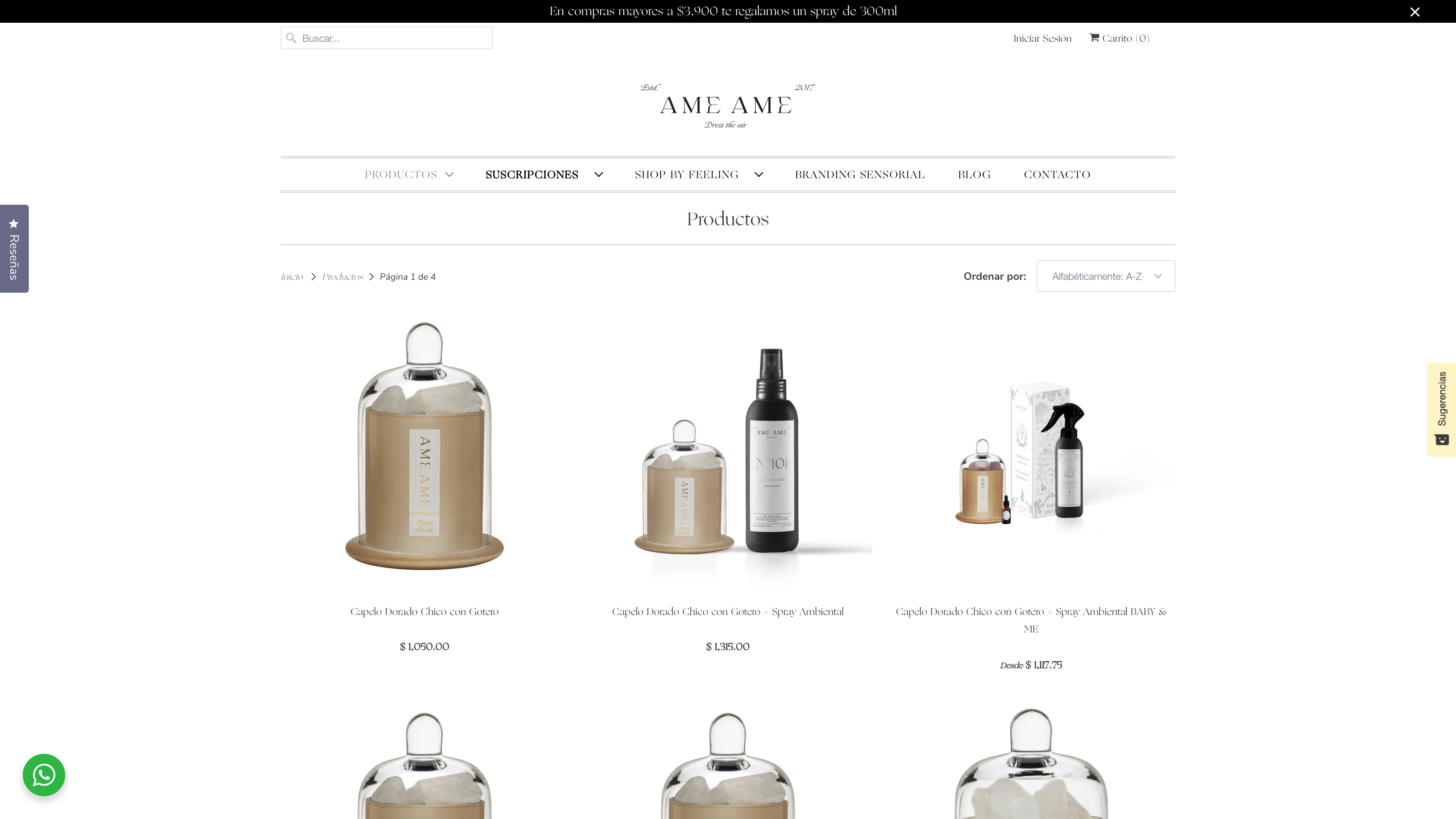 Website Development for Ame Ame: Elevating Scent Marketing Online