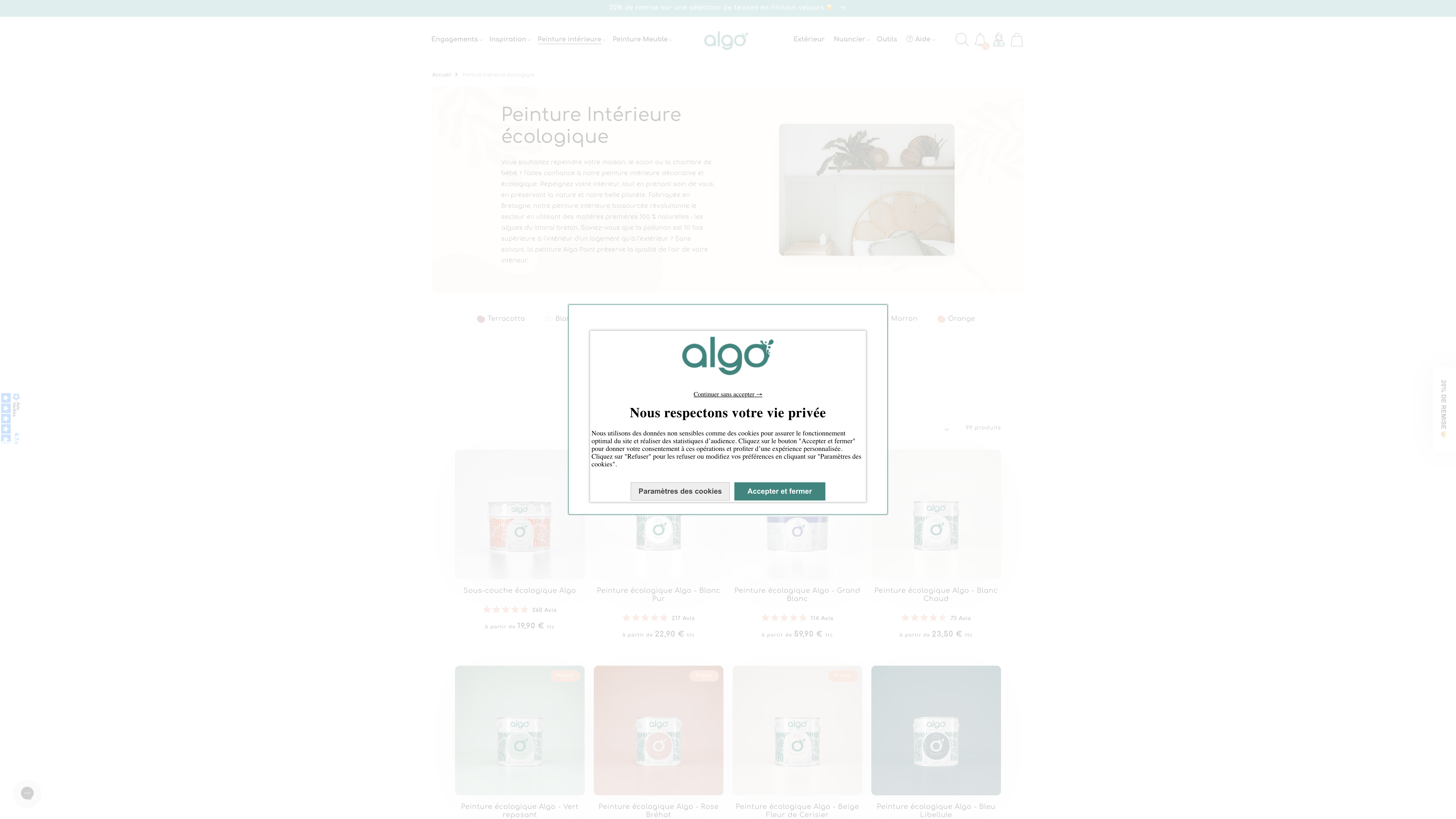 Peinture Algo: Modern, Sleek, and High-Performance Store Redesign