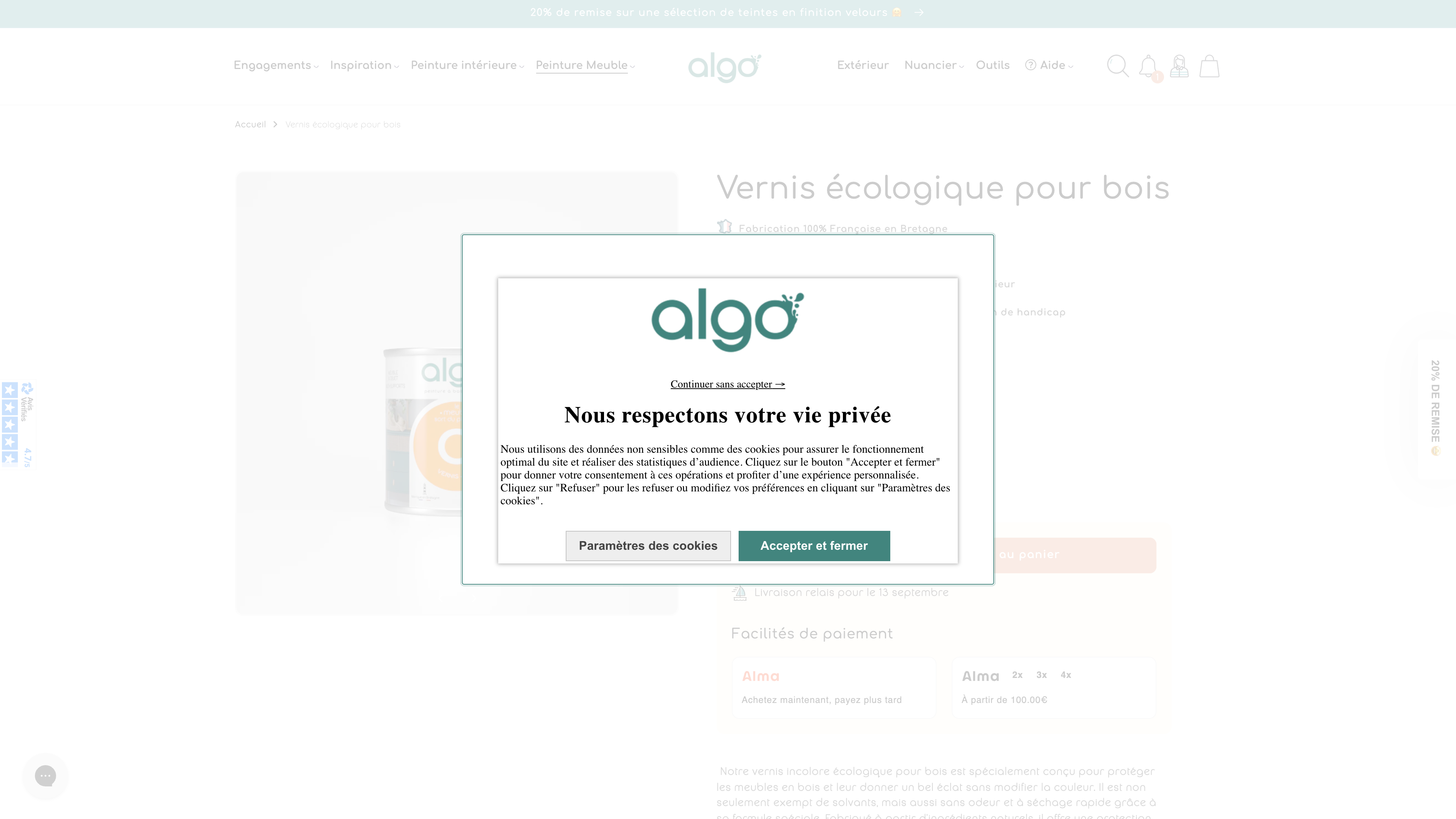 Peinture Algo : un site moderne, épuré, ultra design et performant. screenshot 2