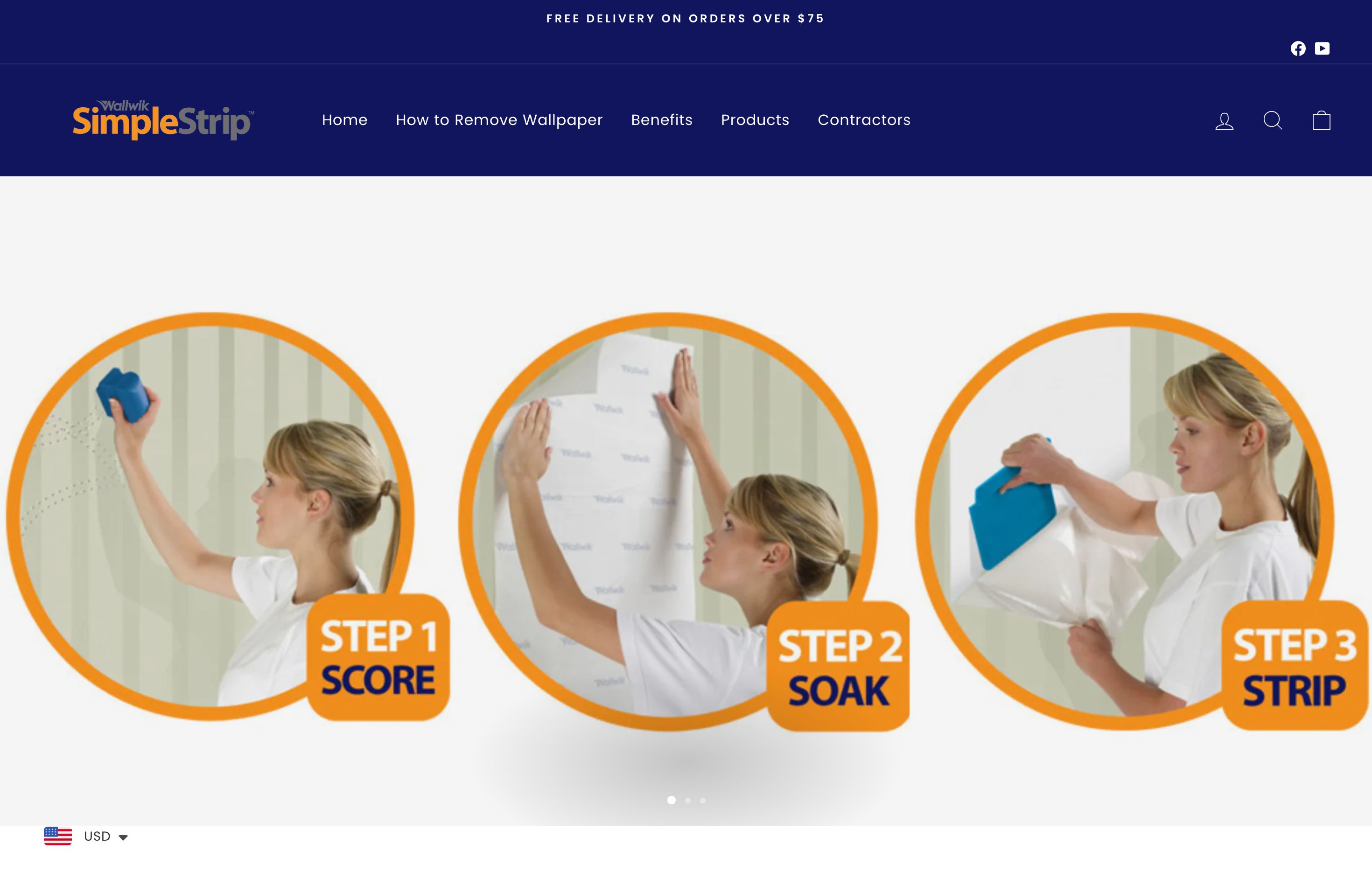 Customized Shopify Website Services for Simple Strip