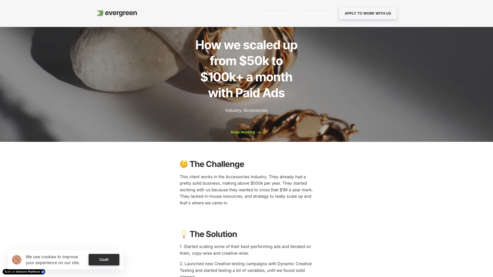 How we scaled up from $50k to $100k+ a month with Paid Ads