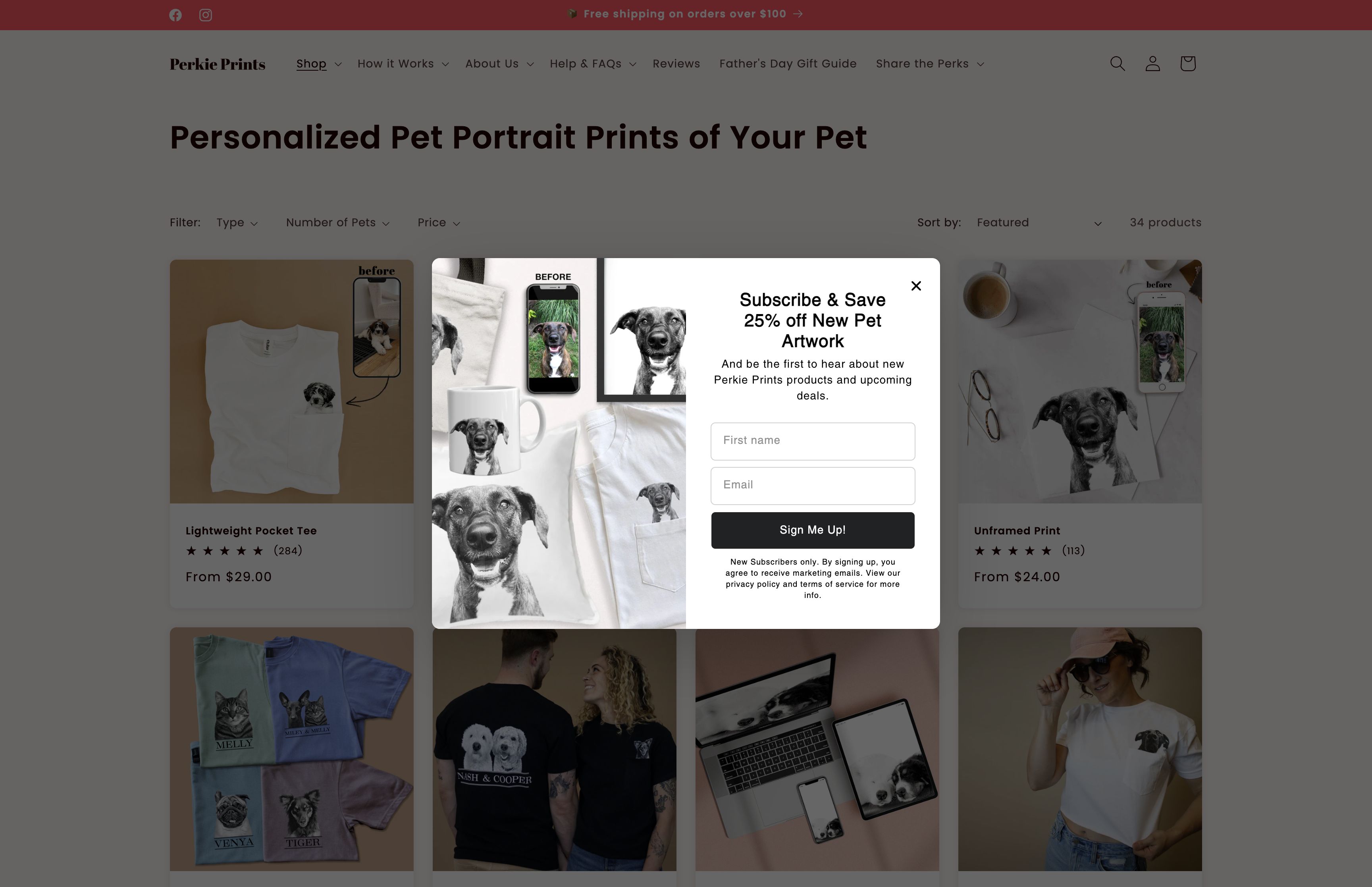 Low-Code Theme Redesign for Custom Pet Portraits Brand screenshot 3